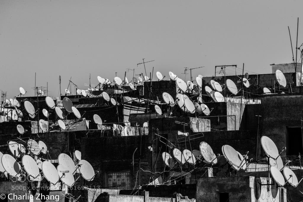 Canon EOS-1D X sample photo. Untitled photography