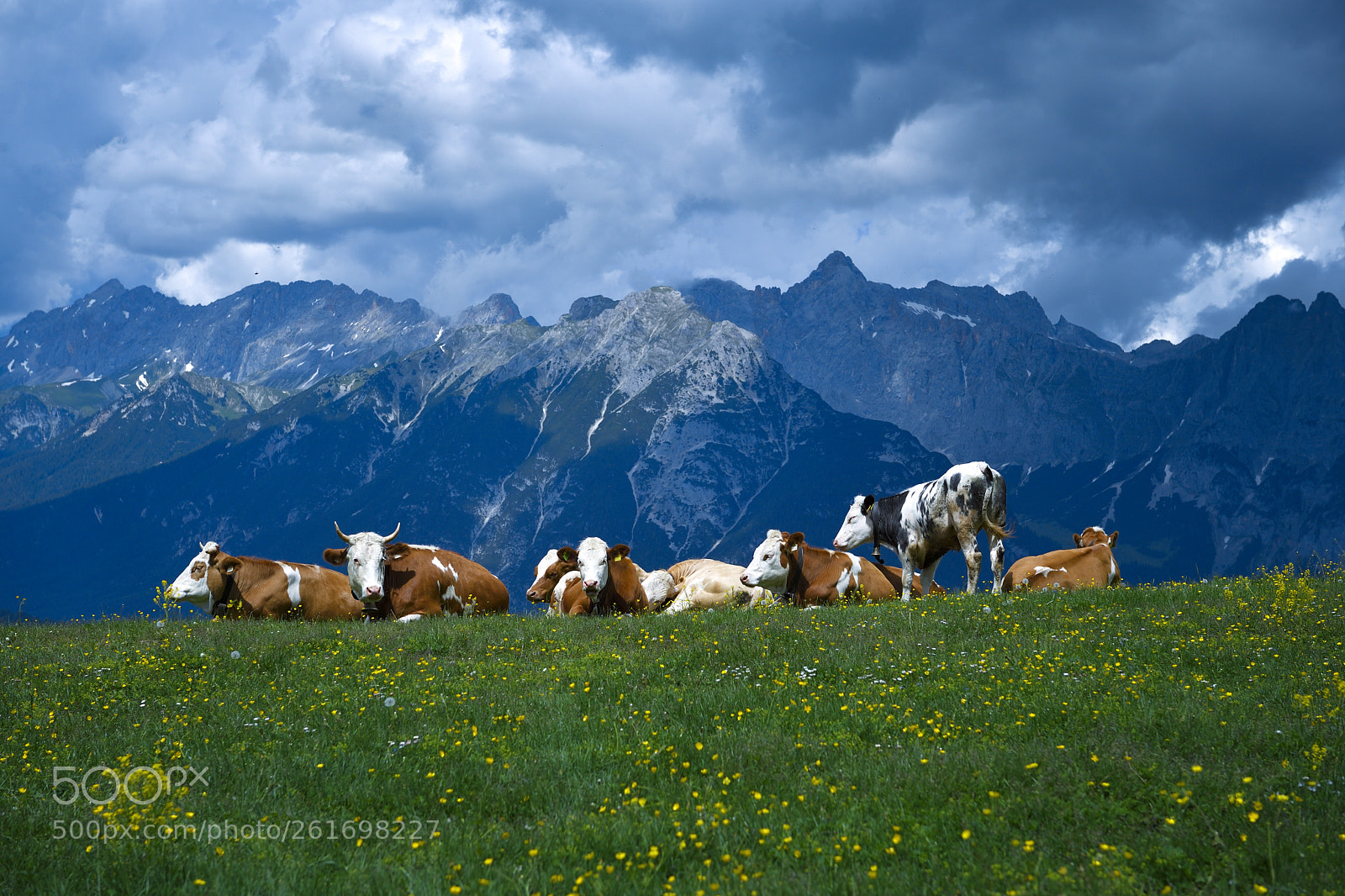 Nikon D5 sample photo. 180610seefeld photography