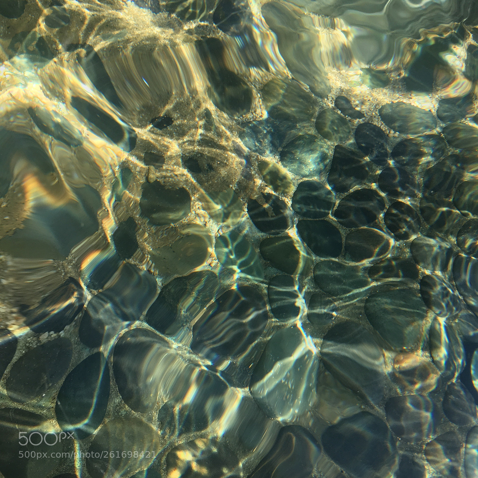 Apple iPhone 6s sample photo. The reflection pool  photography