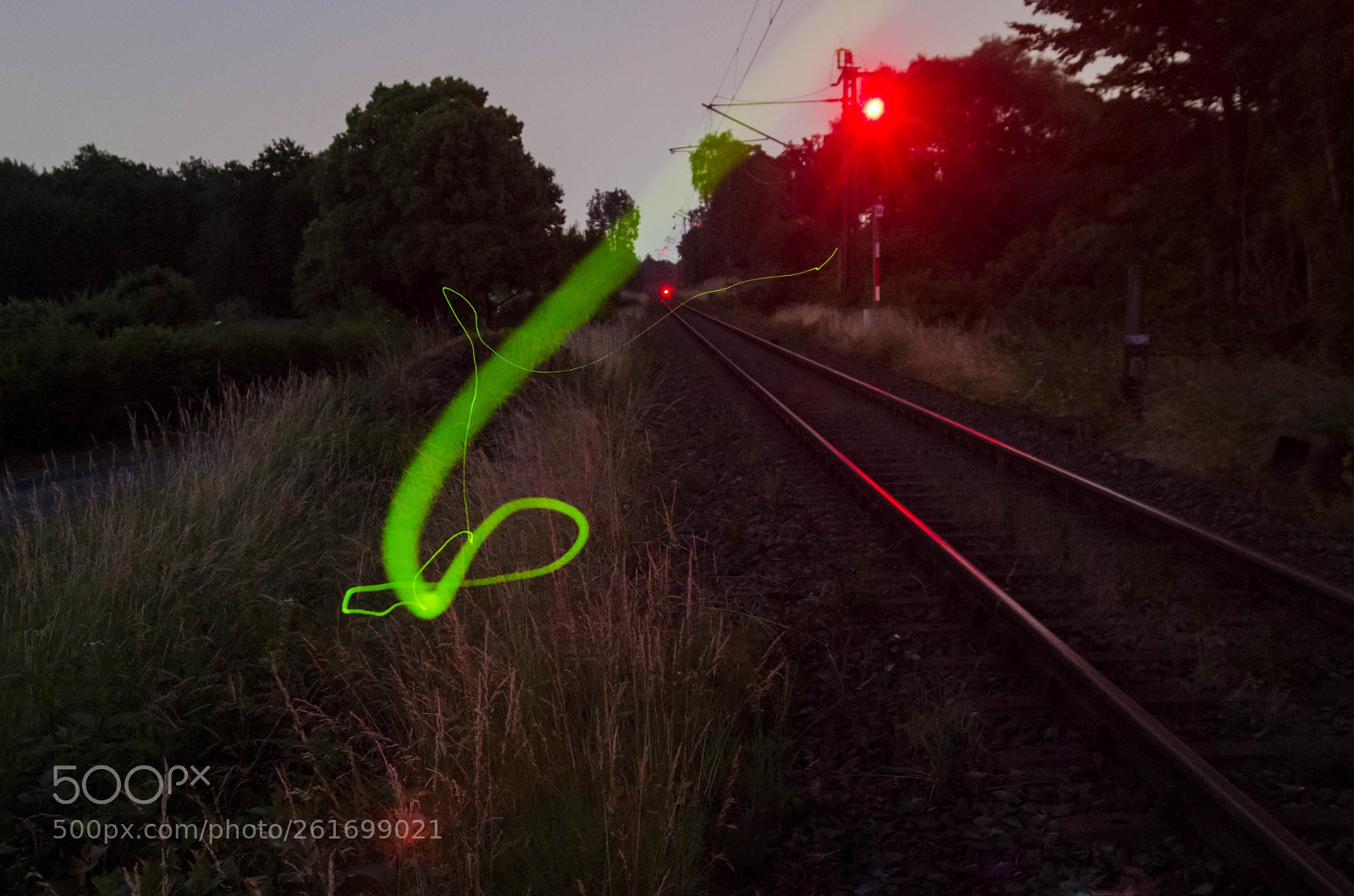 Pentax K-30 sample photo. The firefly photography