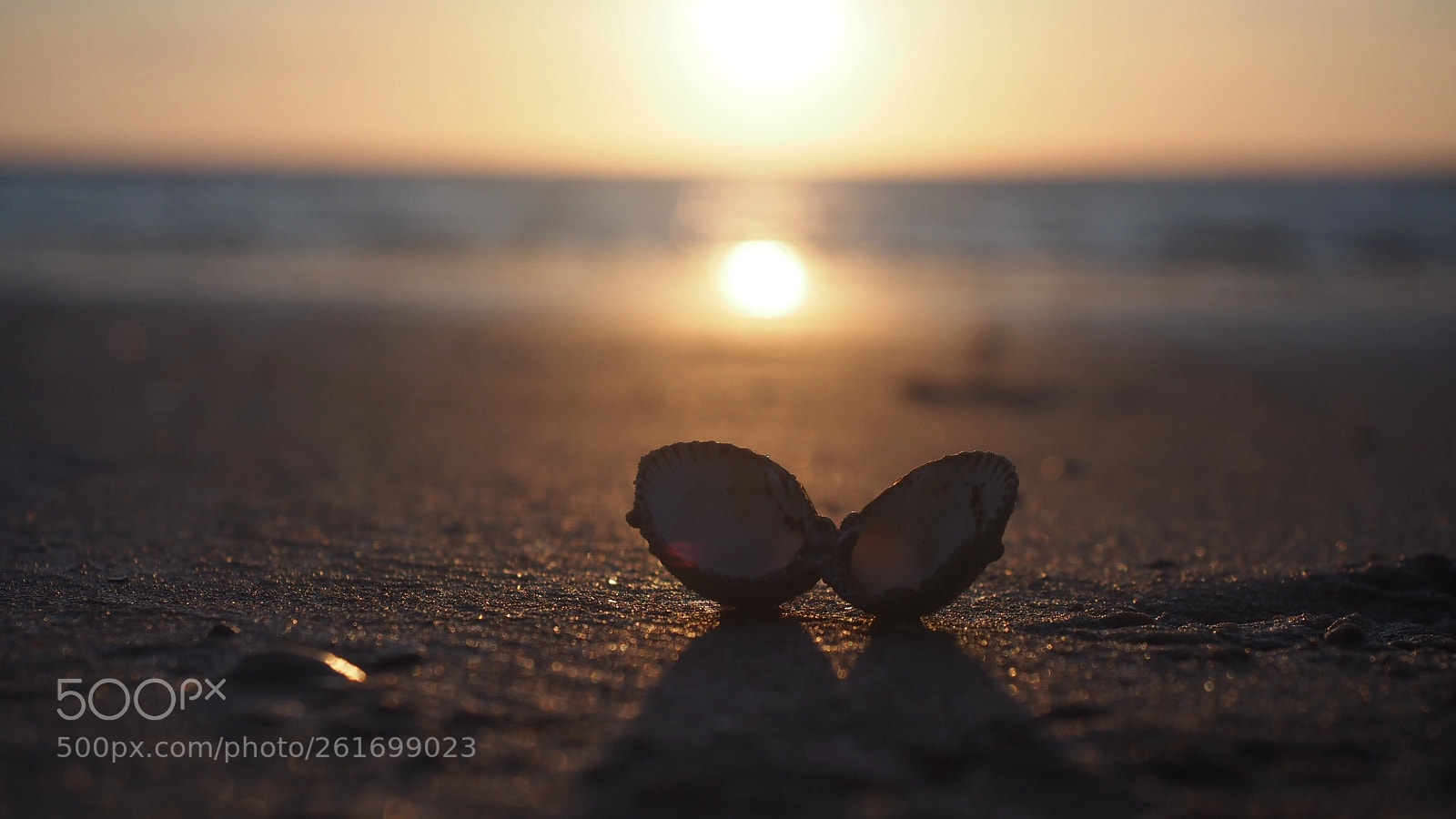Olympus OM-D E-M10 sample photo. Sunset at beach photography