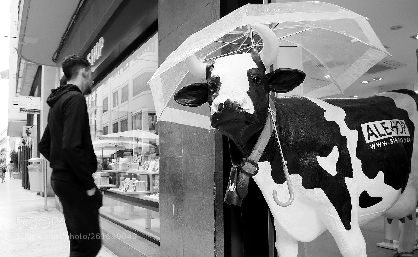 Panasonic Lumix DMC-GX85 (Lumix DMC-GX80 / Lumix DMC-GX7 Mark II) sample photo. Vaca de ciudad photography
