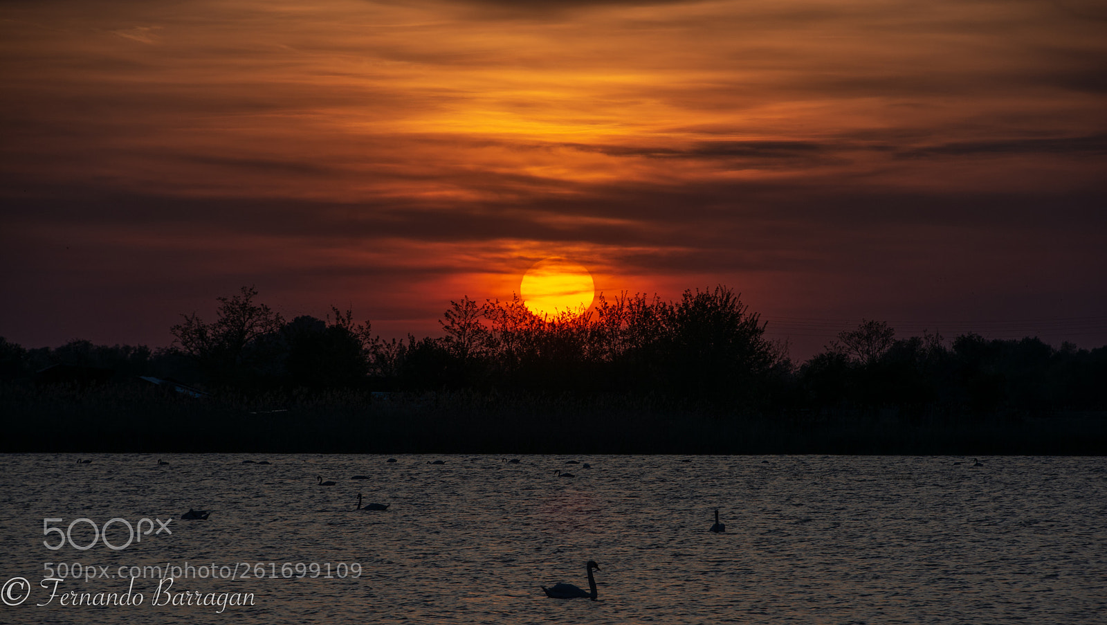 Nikon D7100 sample photo. Sunset en la marisma photography