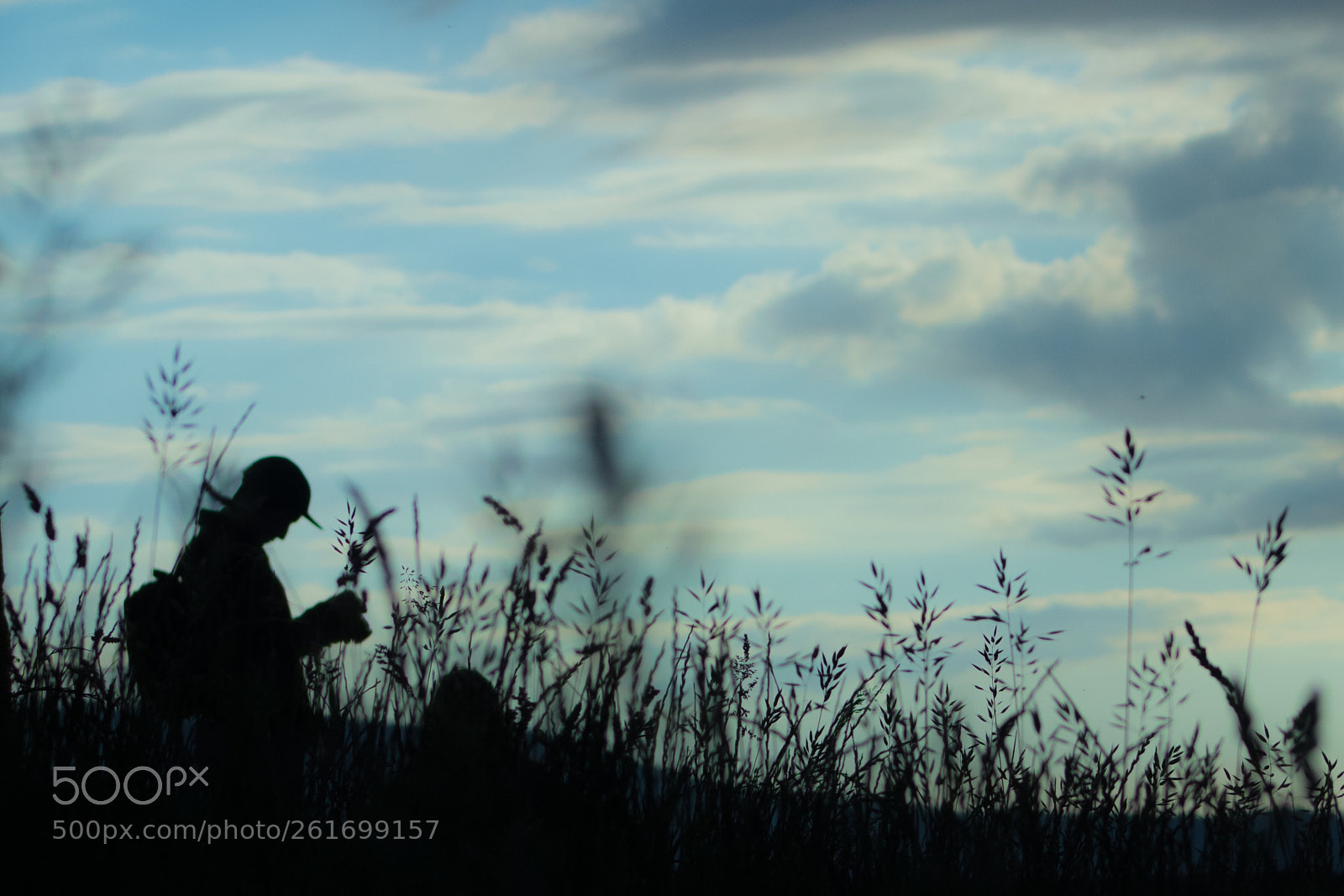 Canon EOS 80D sample photo. Untitled photography