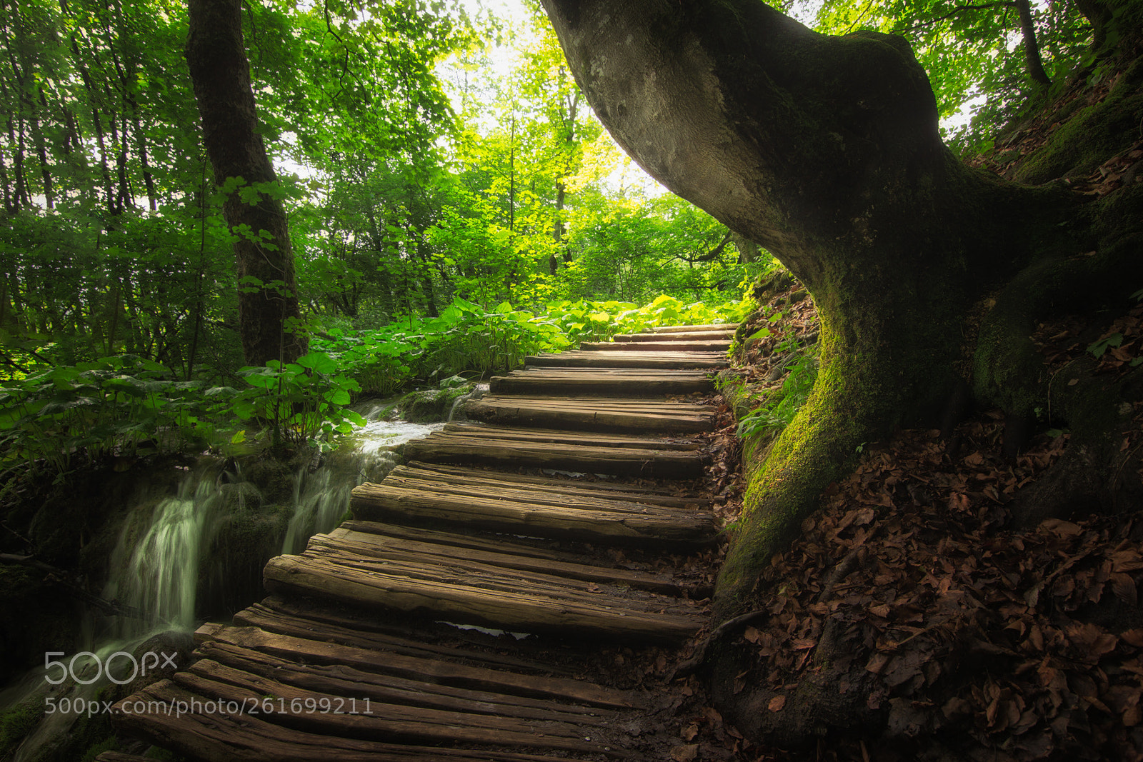 Canon EOS 650D (EOS Rebel T4i / EOS Kiss X6i) sample photo. Plitvice i photography