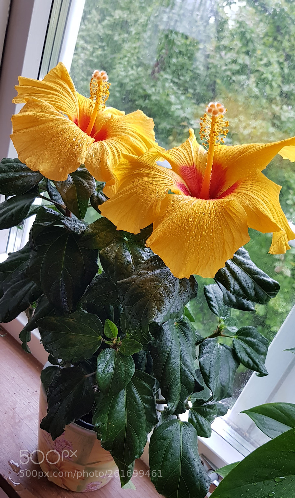 Samsung Galaxy S8 sample photo. They are 2 now photography