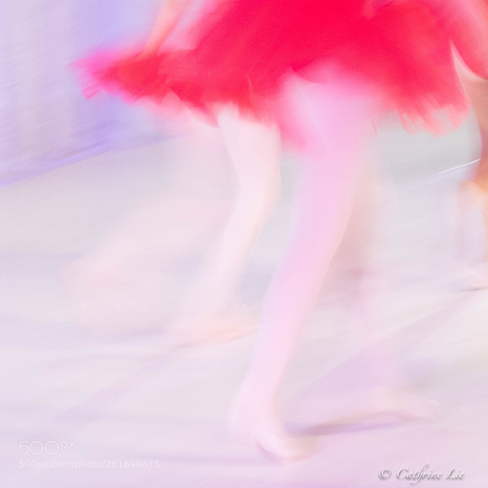 Nikon D810 sample photo. Ballerinas photography