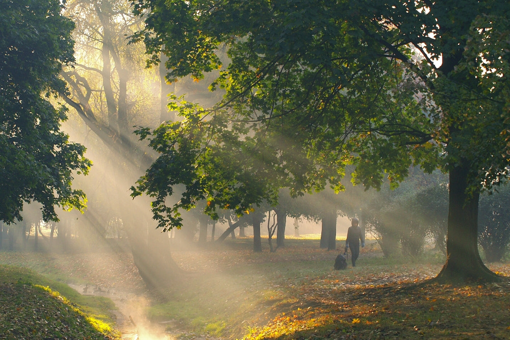 Olympus E-400 (EVOLT E-400) sample photo. Autumn in the park photography