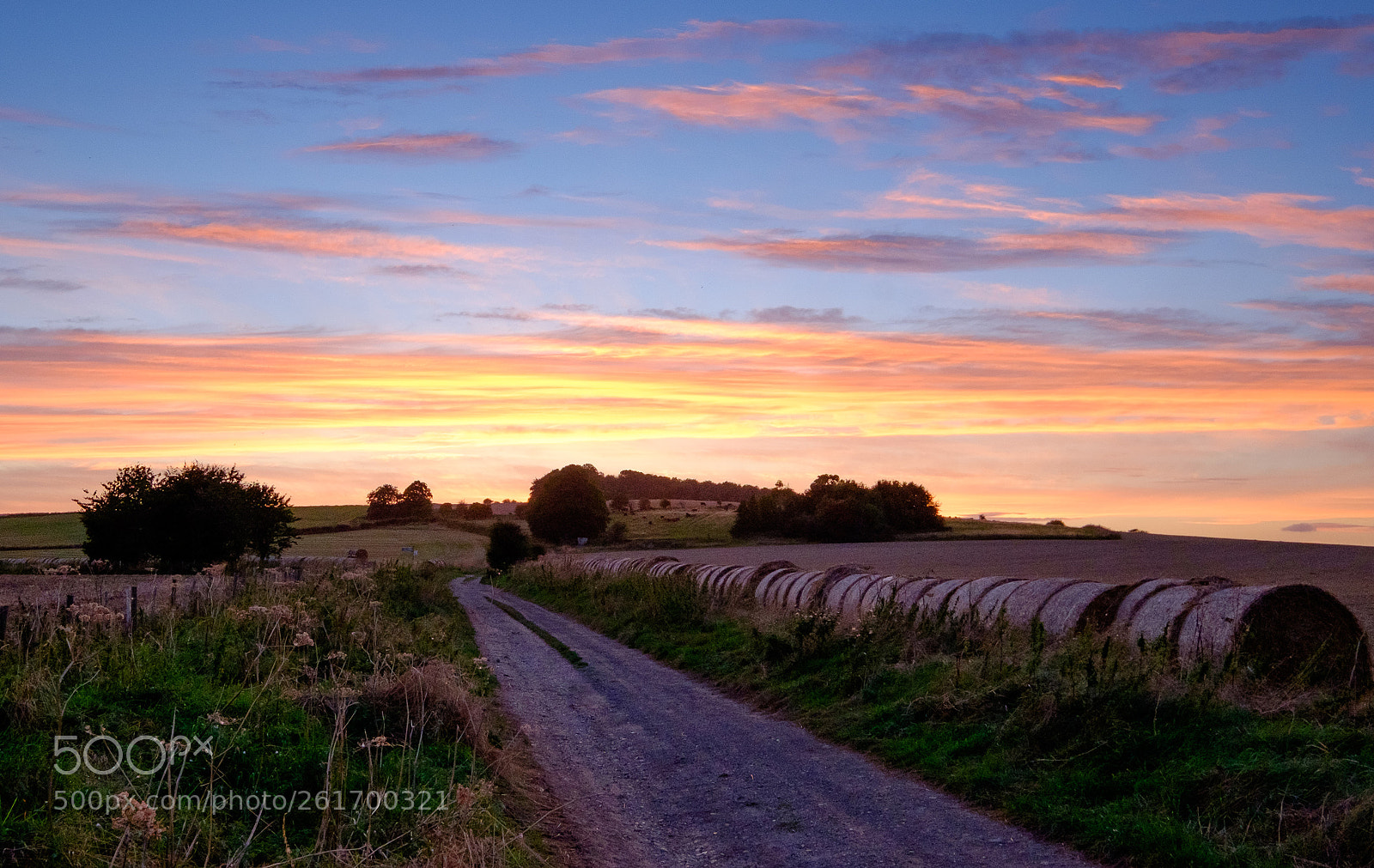 Fujifilm X-T1 sample photo. Harvest road photography