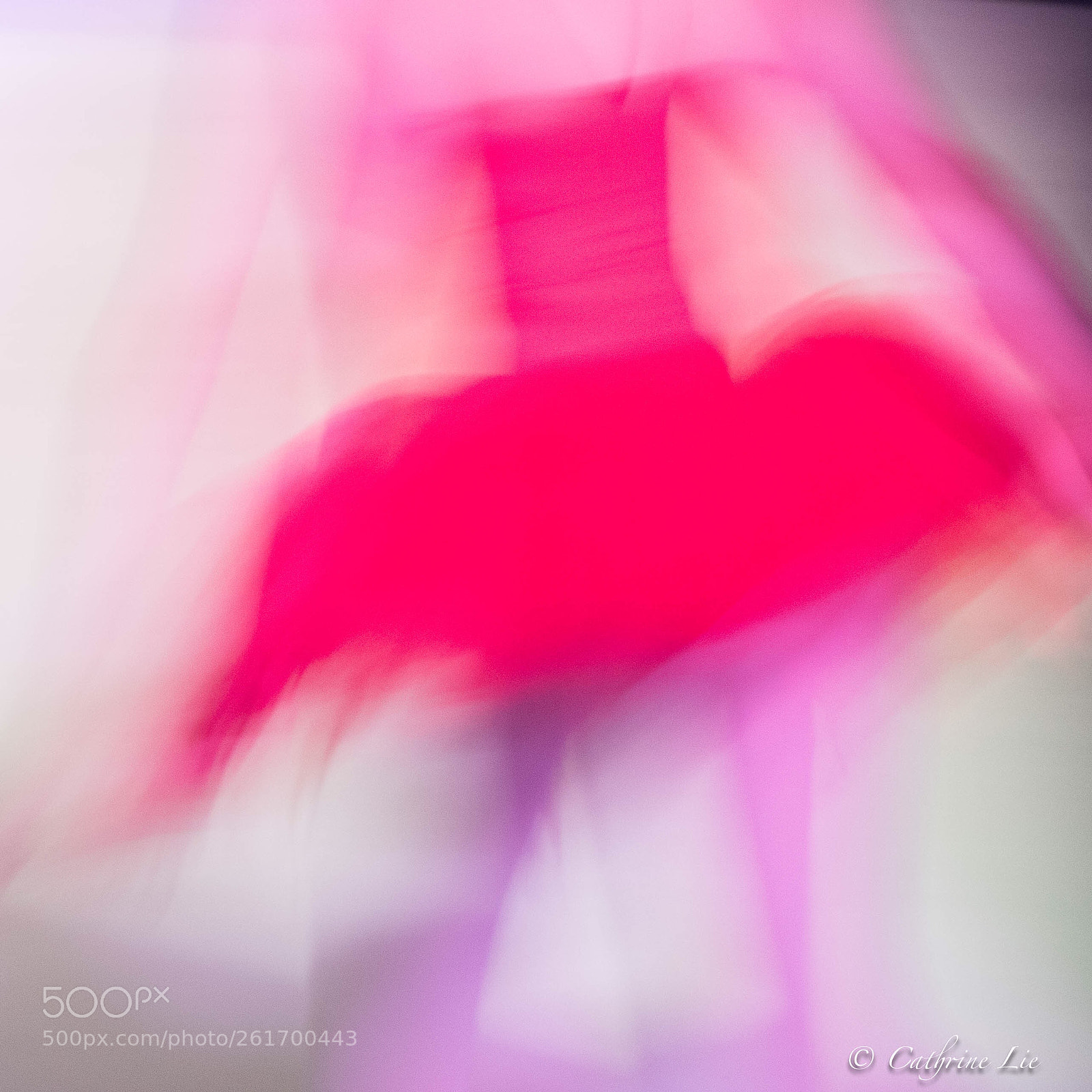 Nikon D810 sample photo. Ballerina and her tutu photography