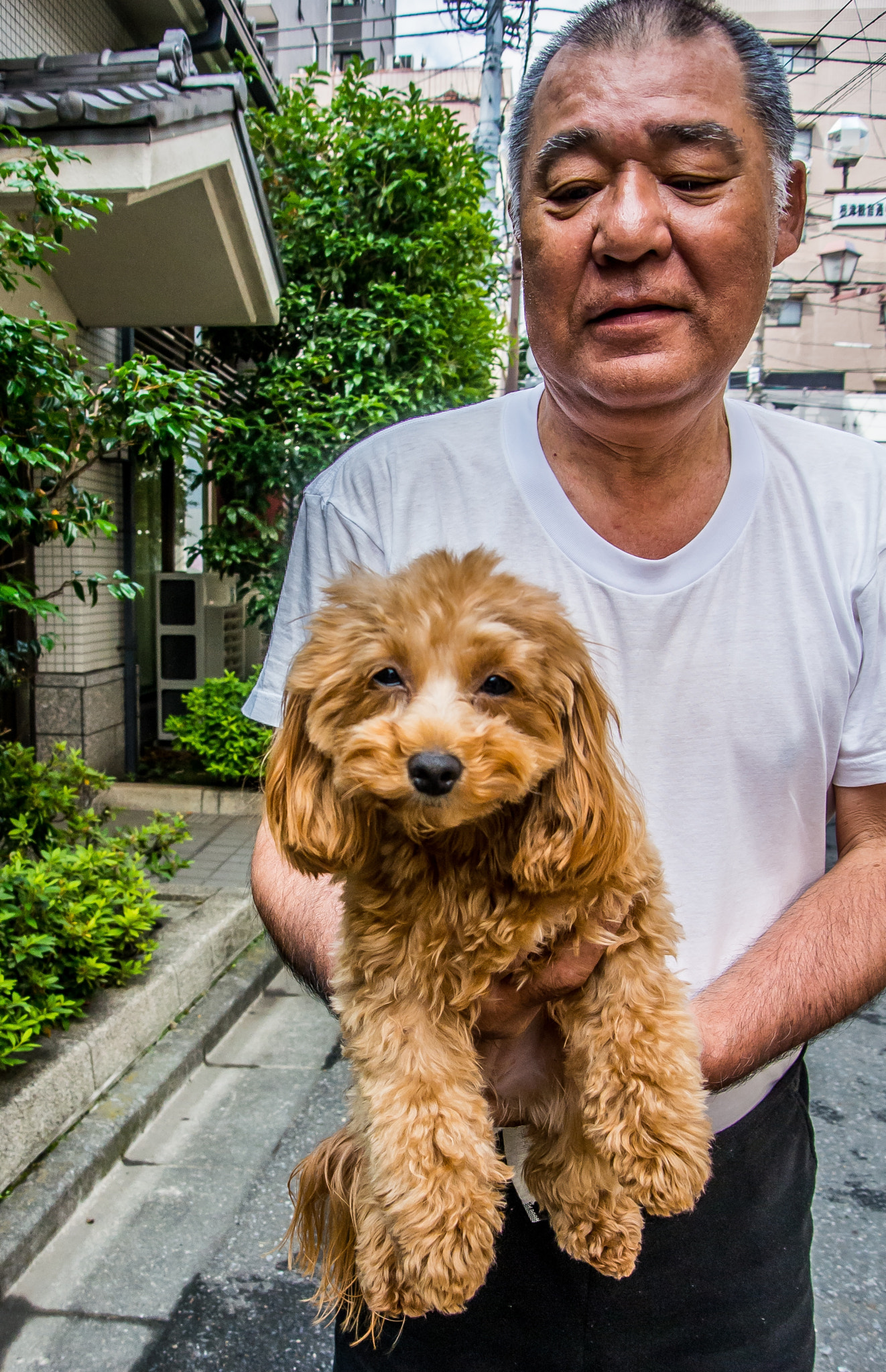 Nikon 1 V1 sample photo. Laughing dog photography
