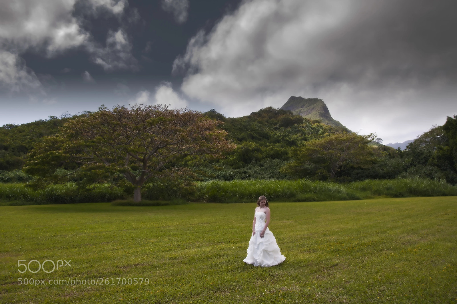 Nikon D90 sample photo. A bride in the photography