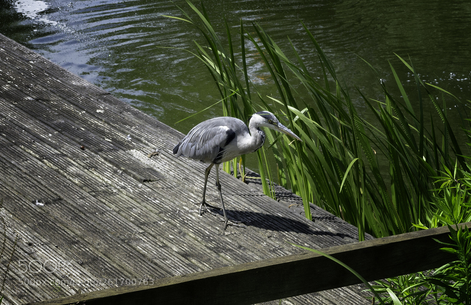 Nikon D3100 sample photo. Bletchley park photography