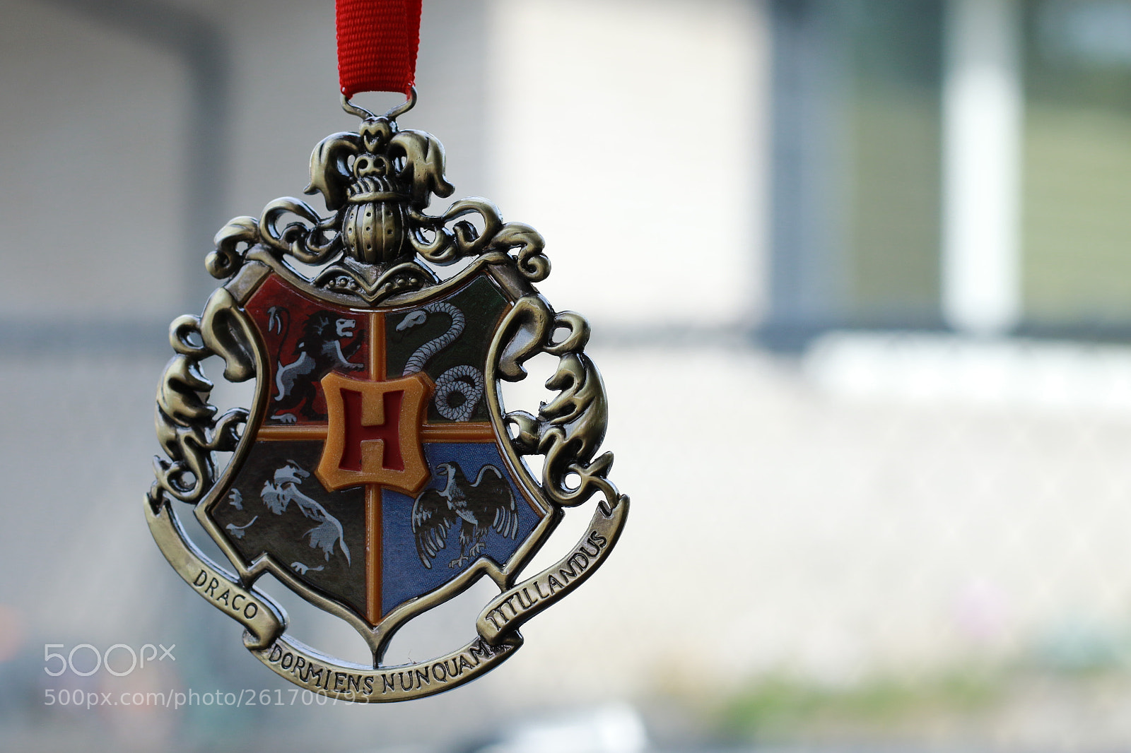 Canon EOS 7D Mark II sample photo. Hp forever photography