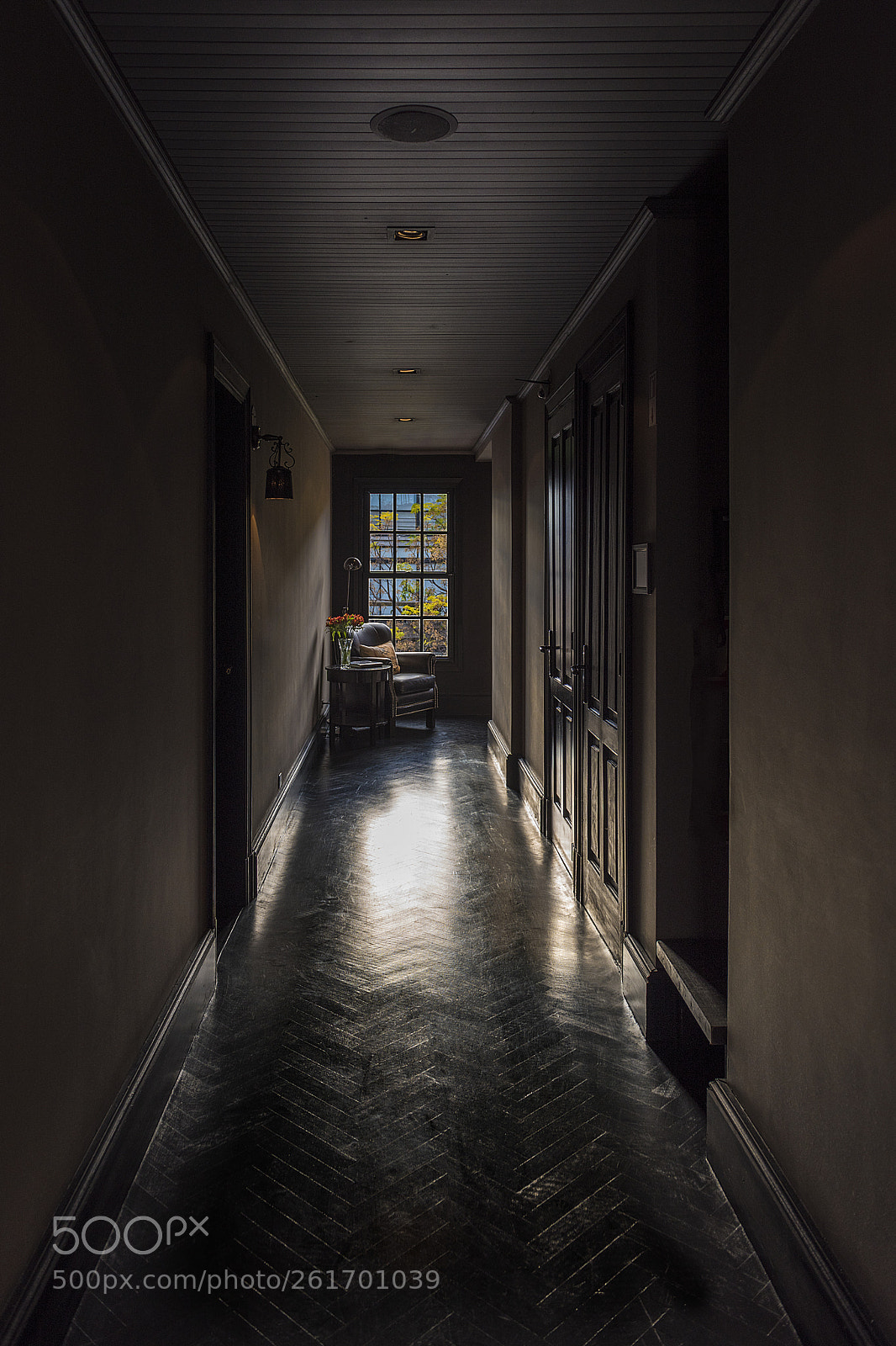 Nikon D810 sample photo. Untitled photography