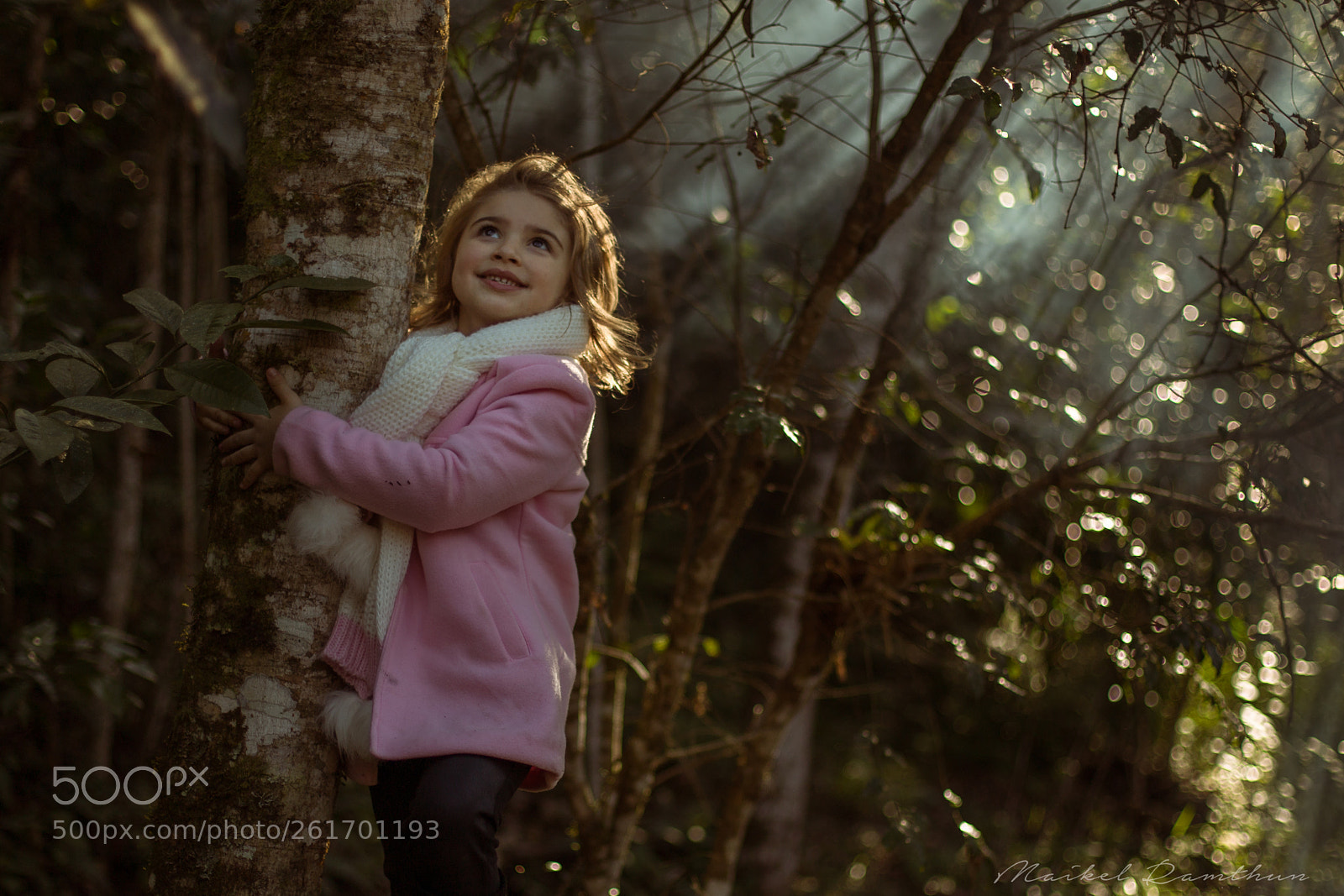 Canon EOS 6D sample photo. In the woods photography