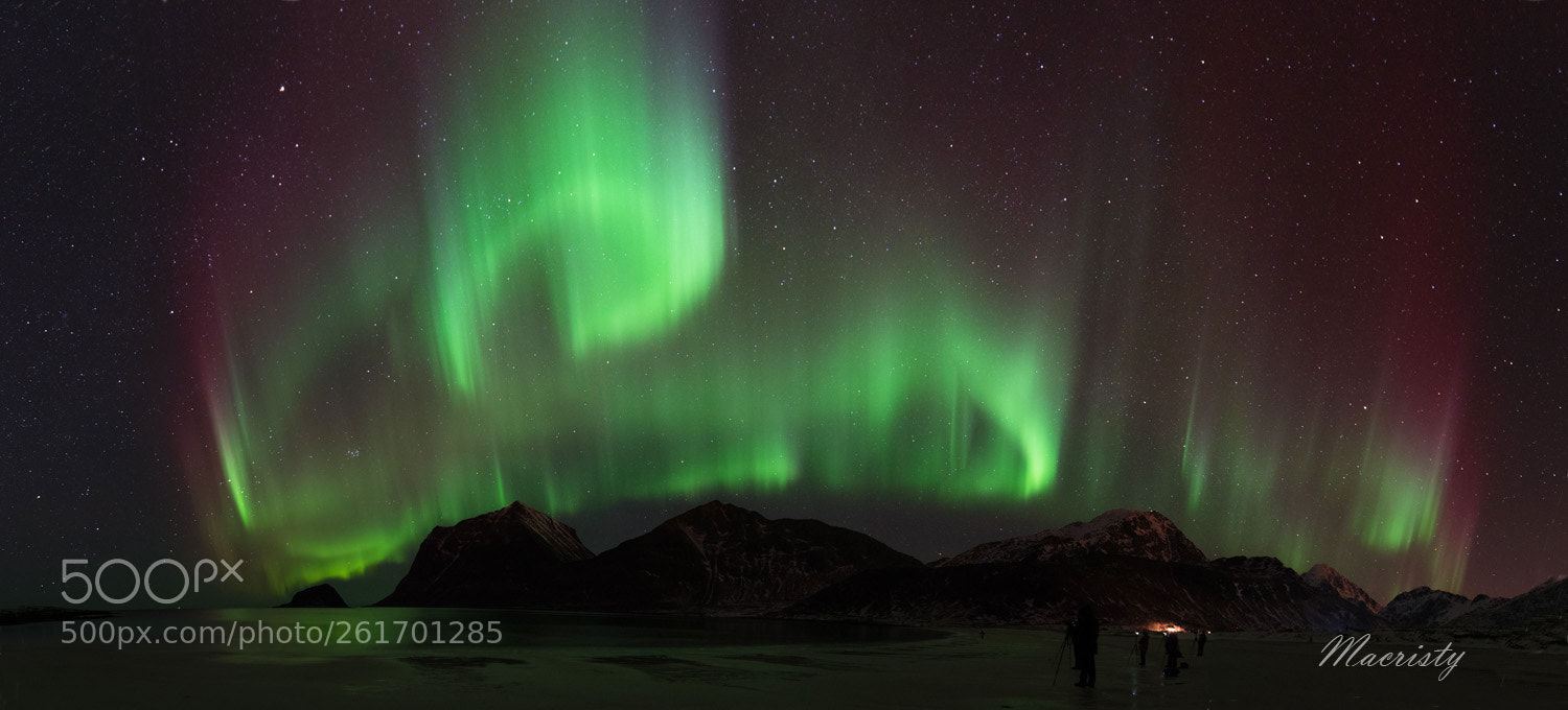 Nikon D750 sample photo. Lofoten photography