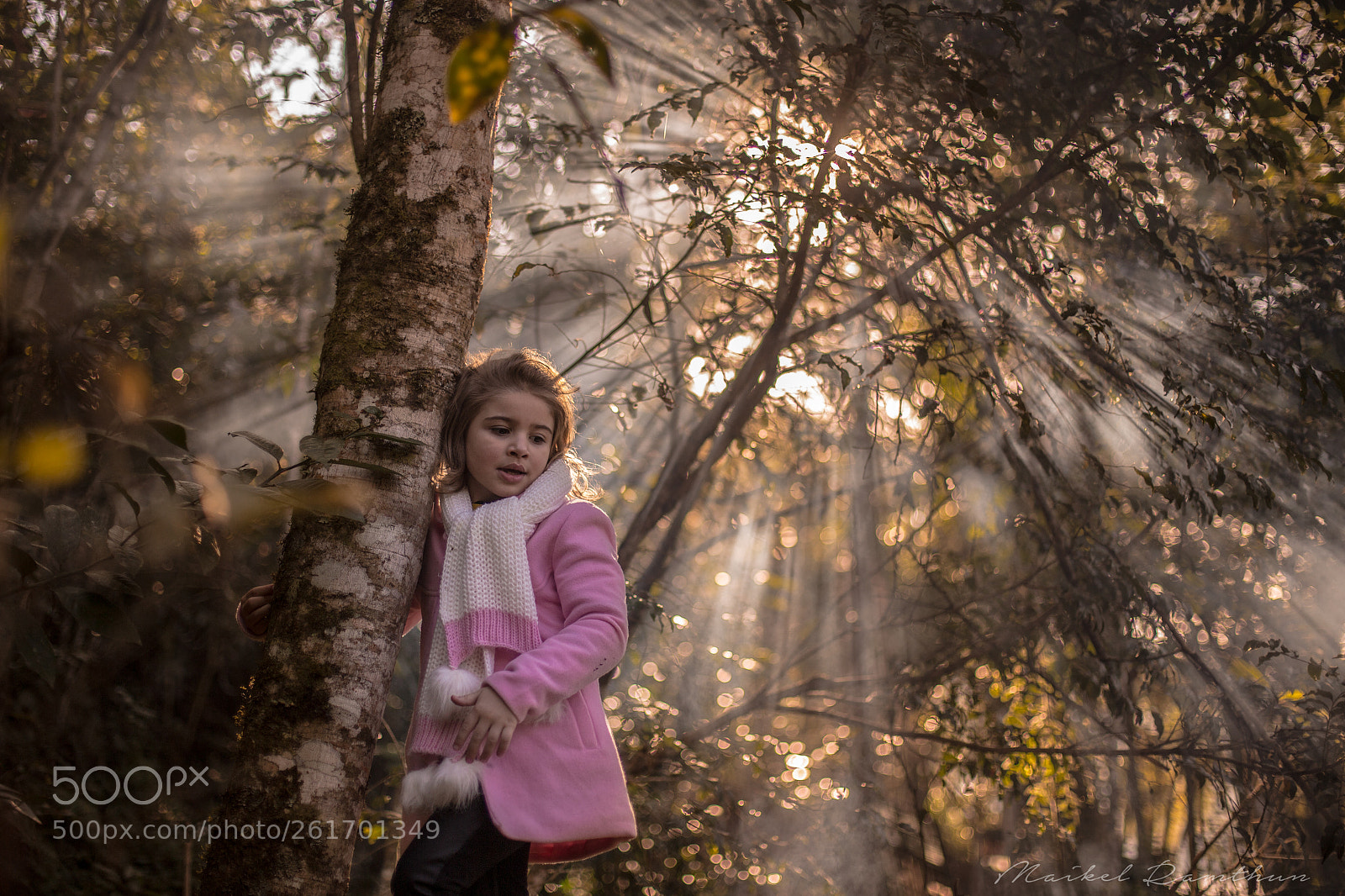 Canon EOS 6D sample photo. In the woods photography