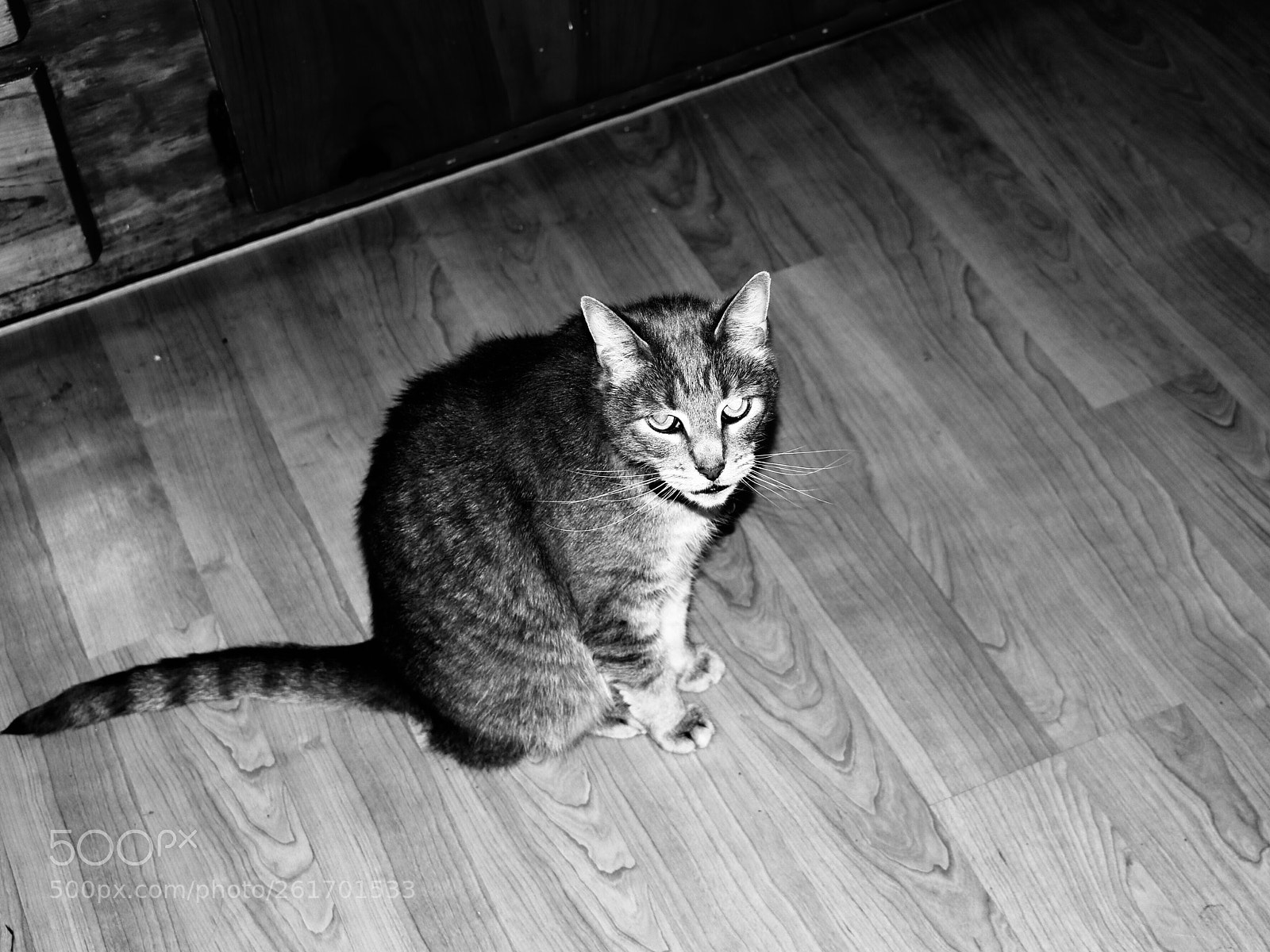 Canon EOS 80D sample photo. Untitled photography