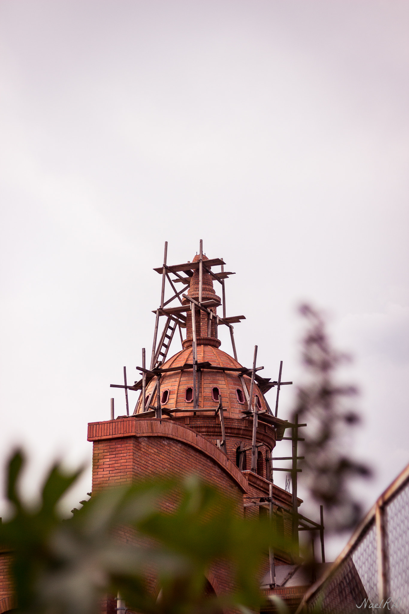 Canon EOS 700D (EOS Rebel T5i / EOS Kiss X7i) sample photo. Babel photography
