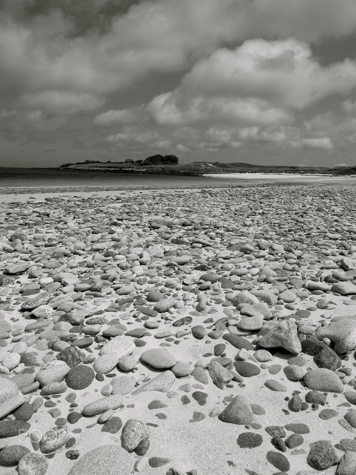 Fujifilm FinePix S8000fd sample photo. The walk of the beach photography