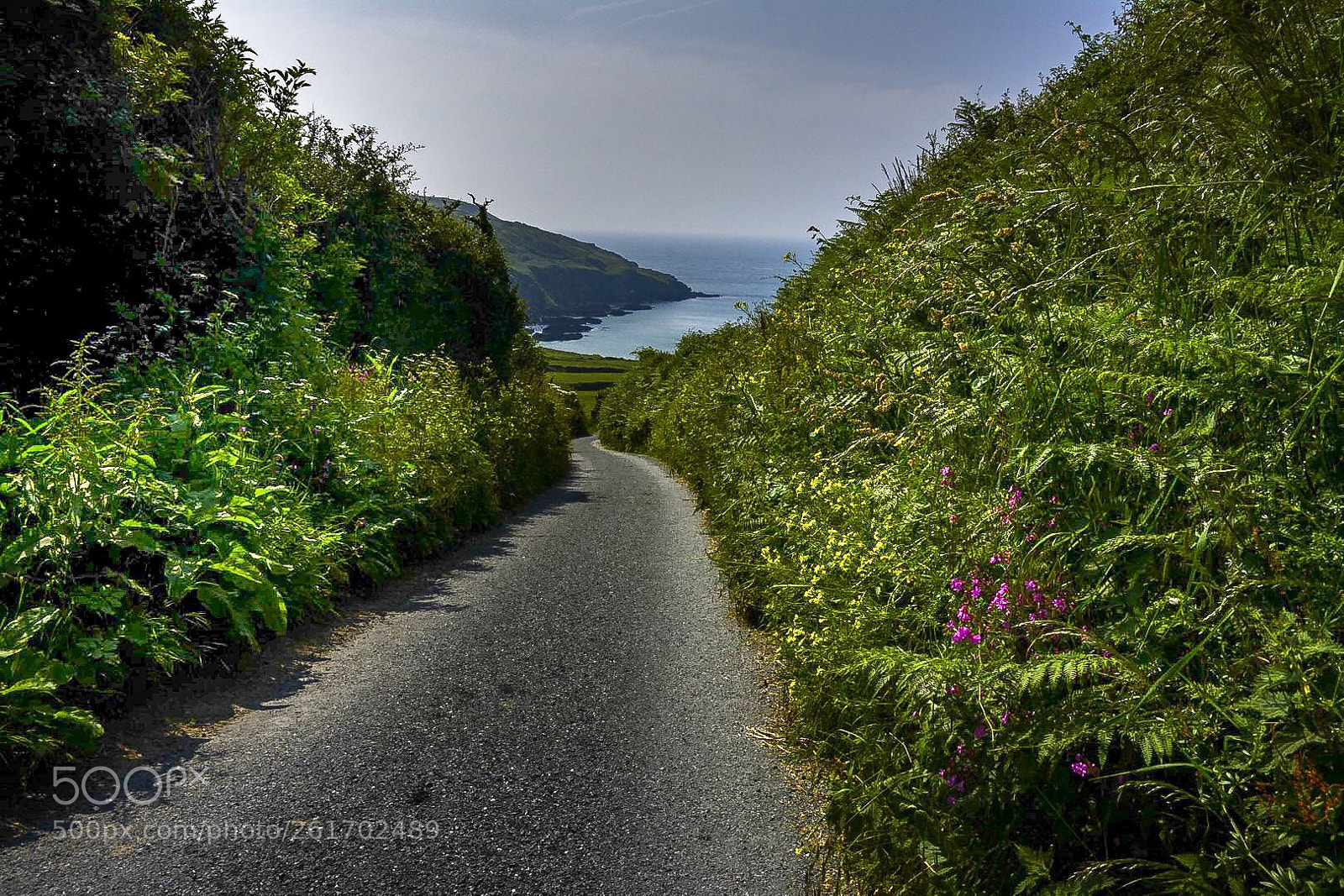 Nikon D7100 sample photo. Streets of cornwall  photography