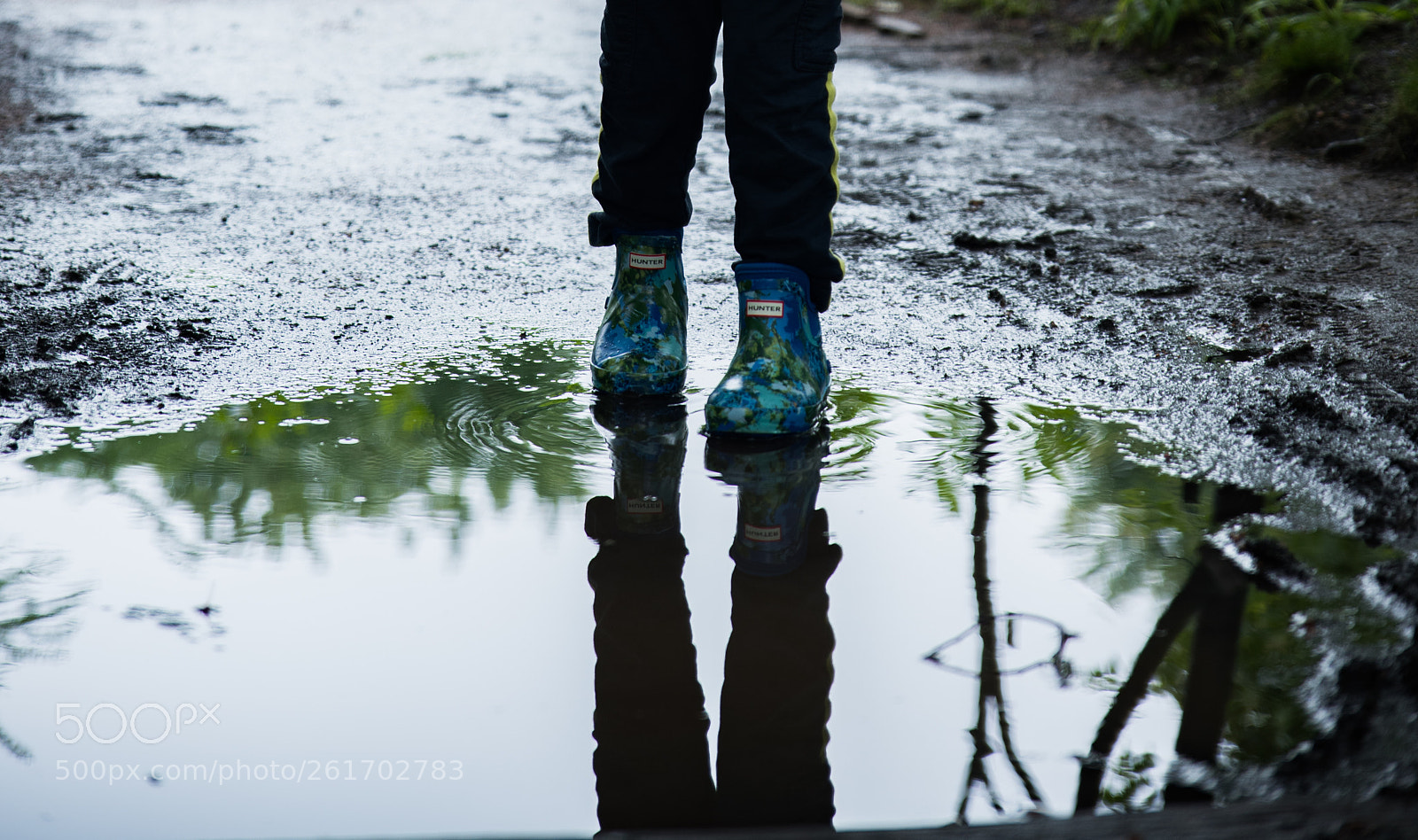 Nikon D750 sample photo. The puddle photography
