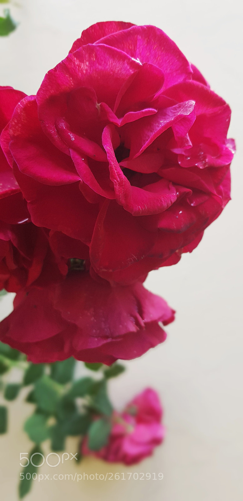 Samsung Galaxy S8 sample photo. Untitled photography