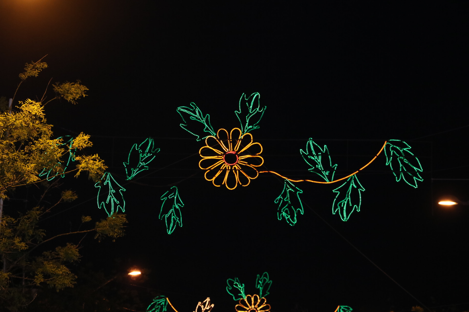 Canon EOS 750D (EOS Rebel T6i / EOS Kiss X8i) sample photo