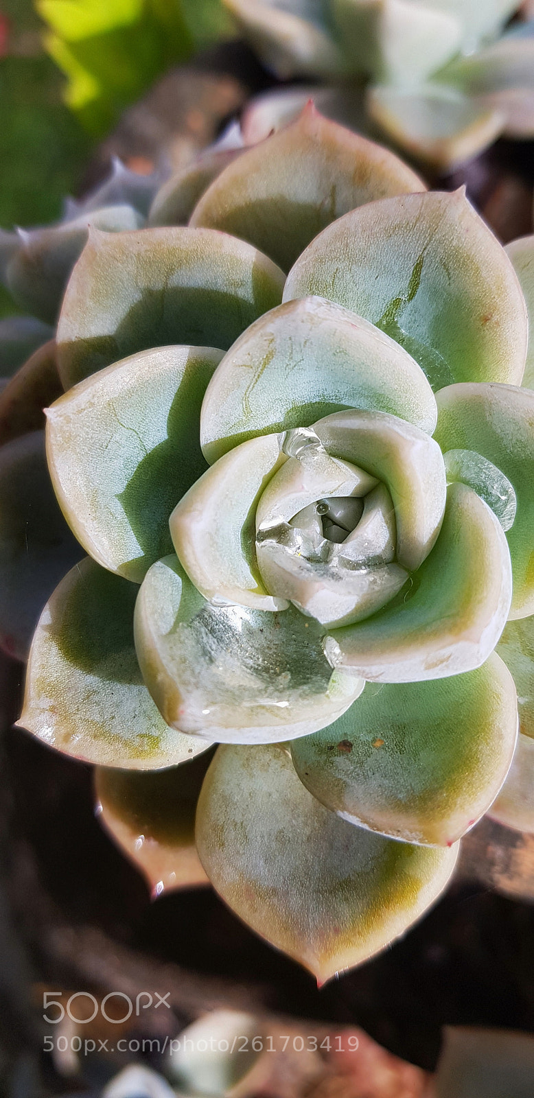 Samsung Galaxy S8 sample photo. Untitled photography