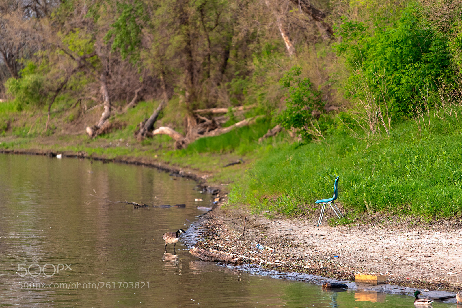 Nikon D810 sample photo. Checking the view photography