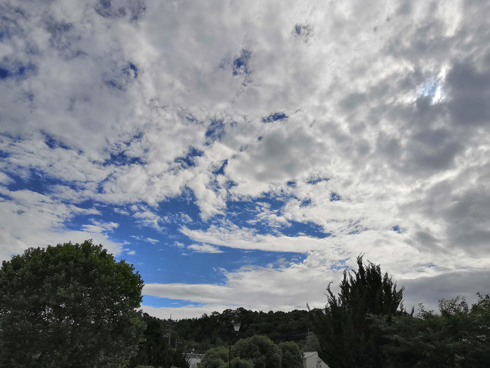 HUAWEI Honor 10 sample photo