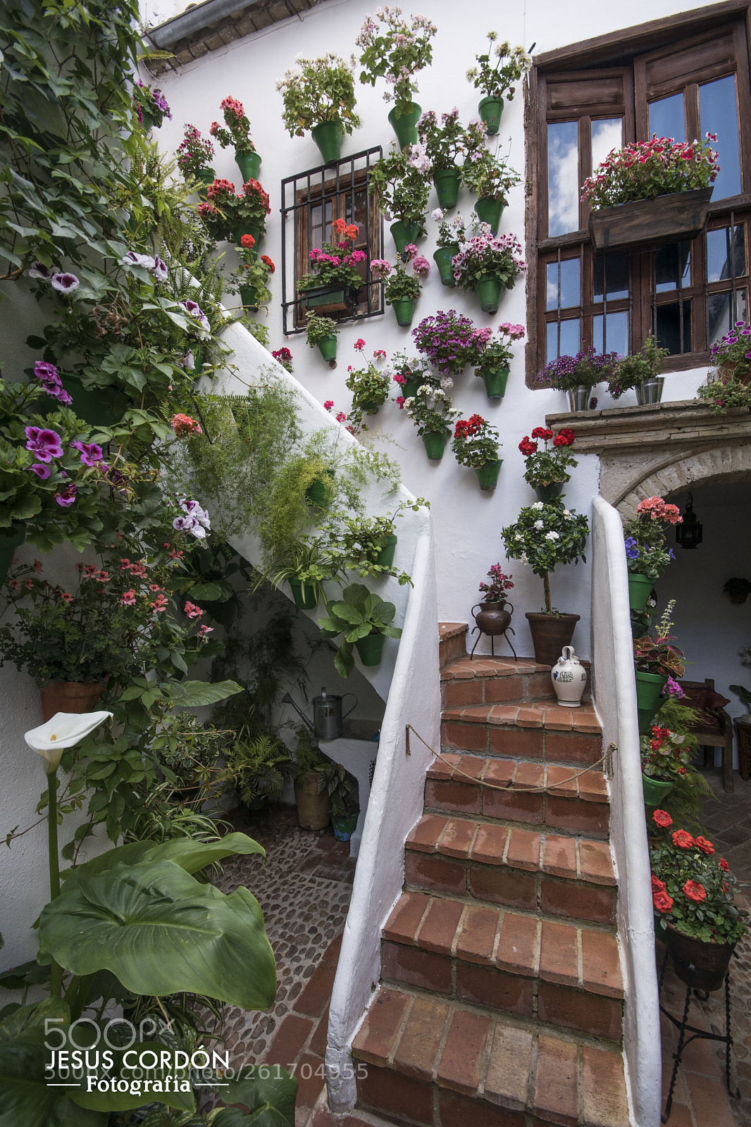 Sony ILCA-77M2 sample photo. Patio cordobés,spain photography