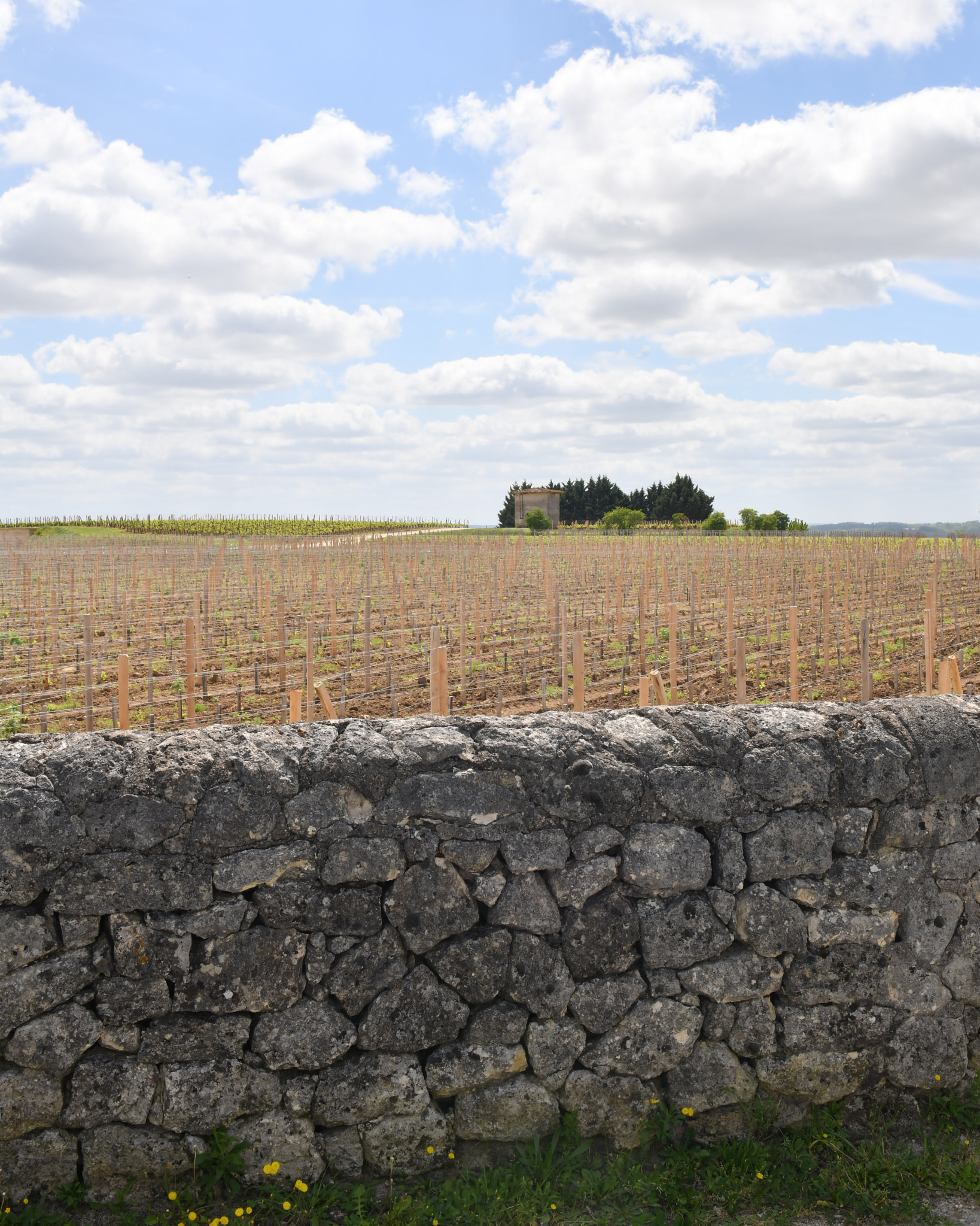 Nikon AF-S Nikkor 24-70mm F2.8G ED sample photo. St emilion photography