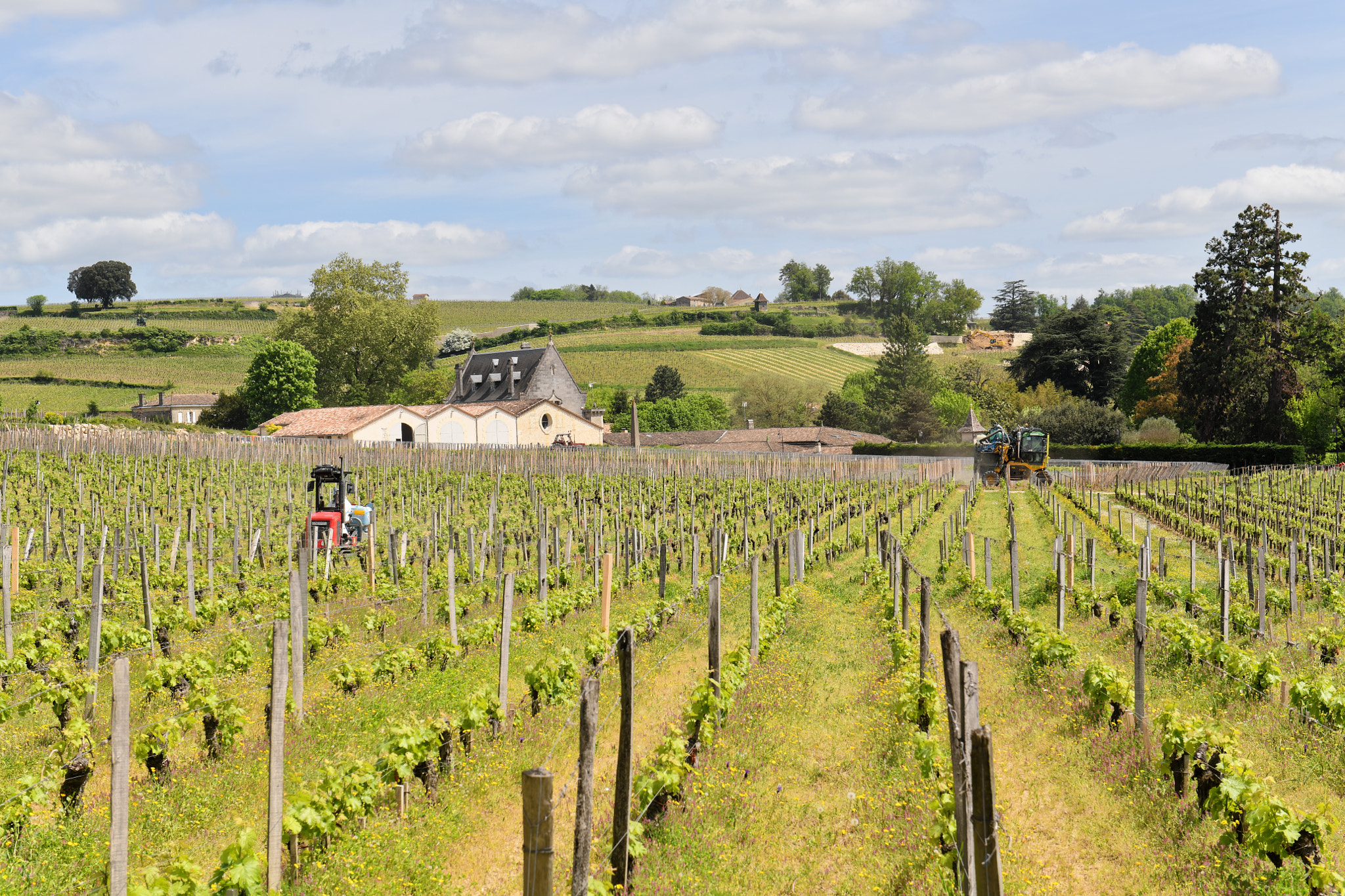 Nikon AF-S Nikkor 24-70mm F2.8G ED sample photo. St emilion photography