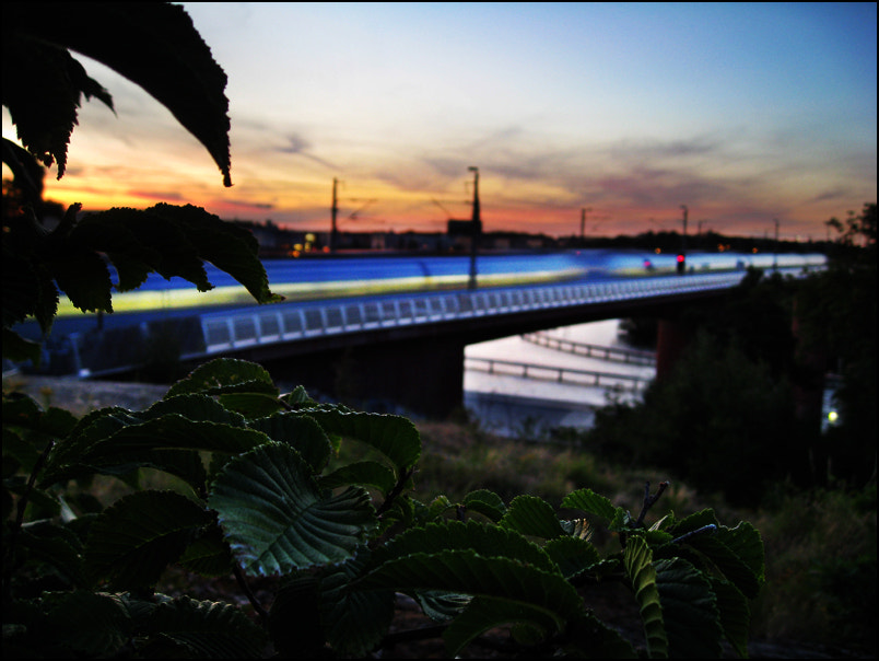 Canon DIGITAL IXUS 950 IS sample photo. Img photography