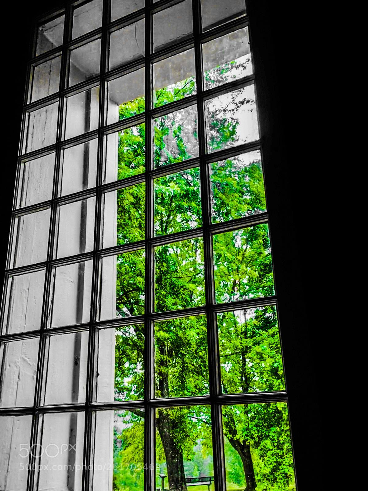 Apple iPhone 6s sample photo. Window with a view  photography