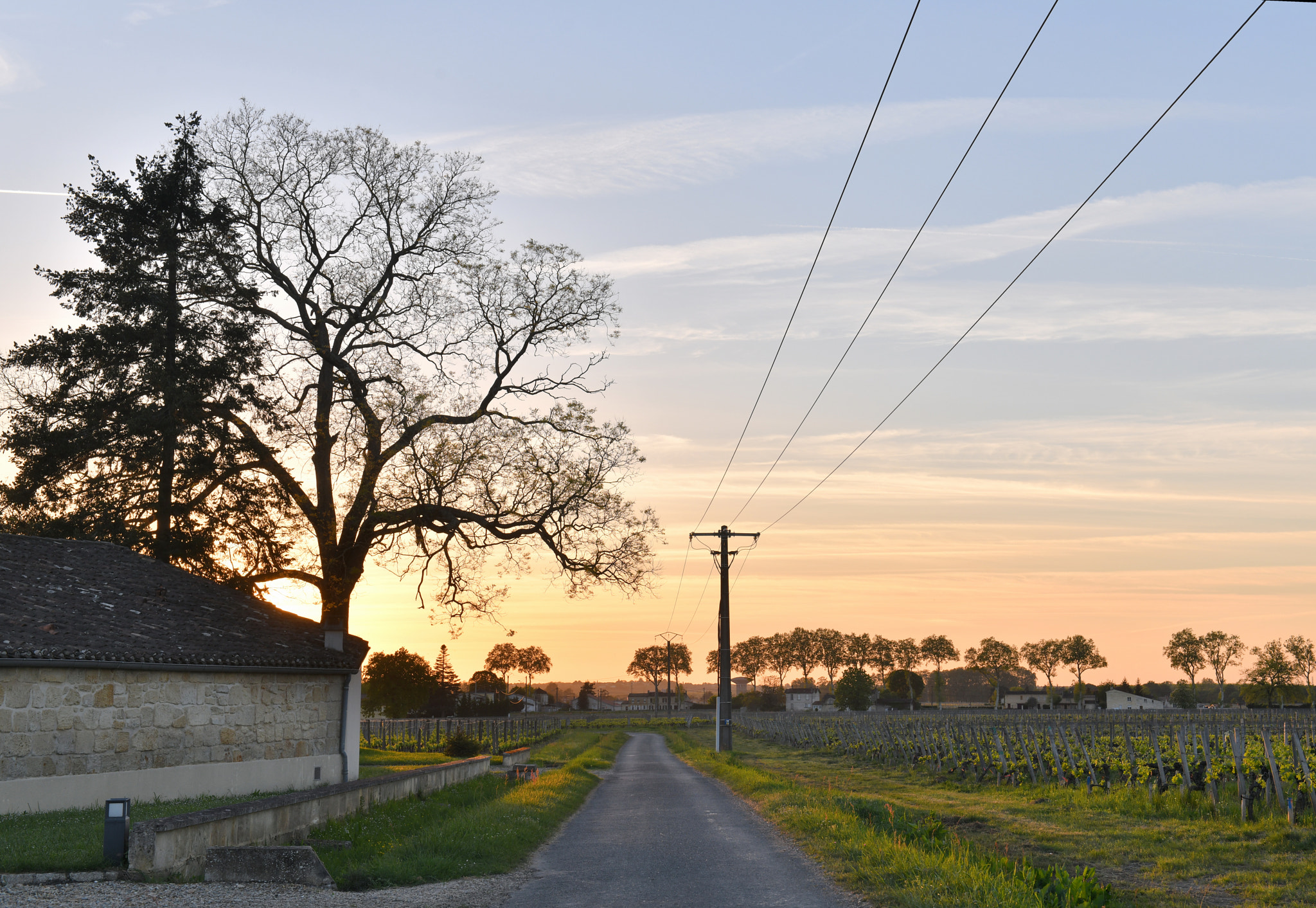 Nikon AF-S Nikkor 24-70mm F2.8G ED sample photo. Dsc photography