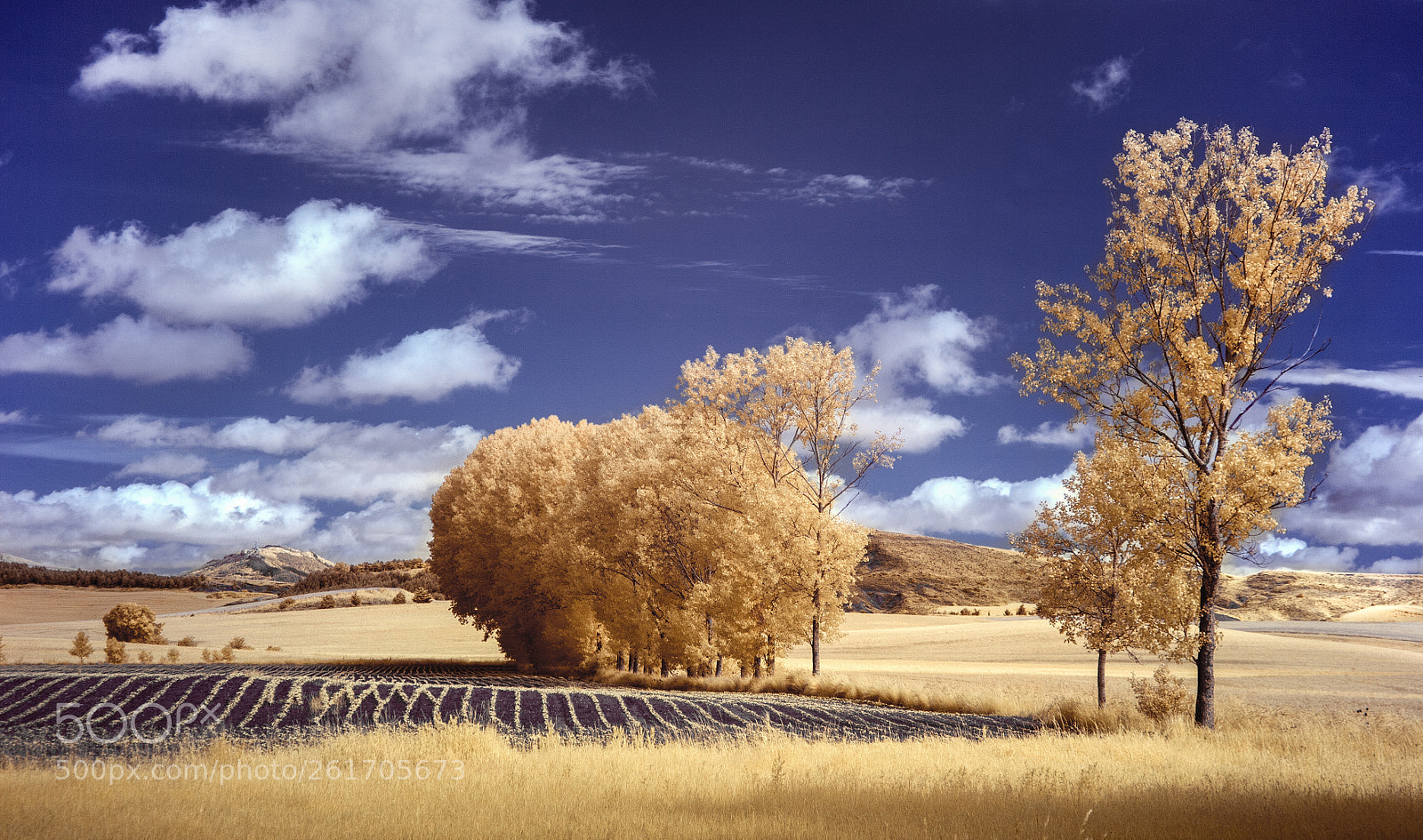 Canon EOS 5D sample photo. Aranguren valley photography