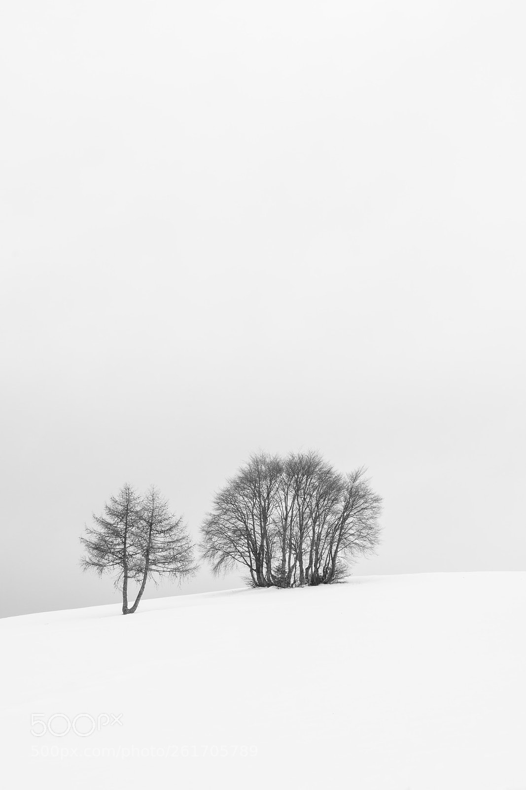 Nikon D500 sample photo. Black and white photography