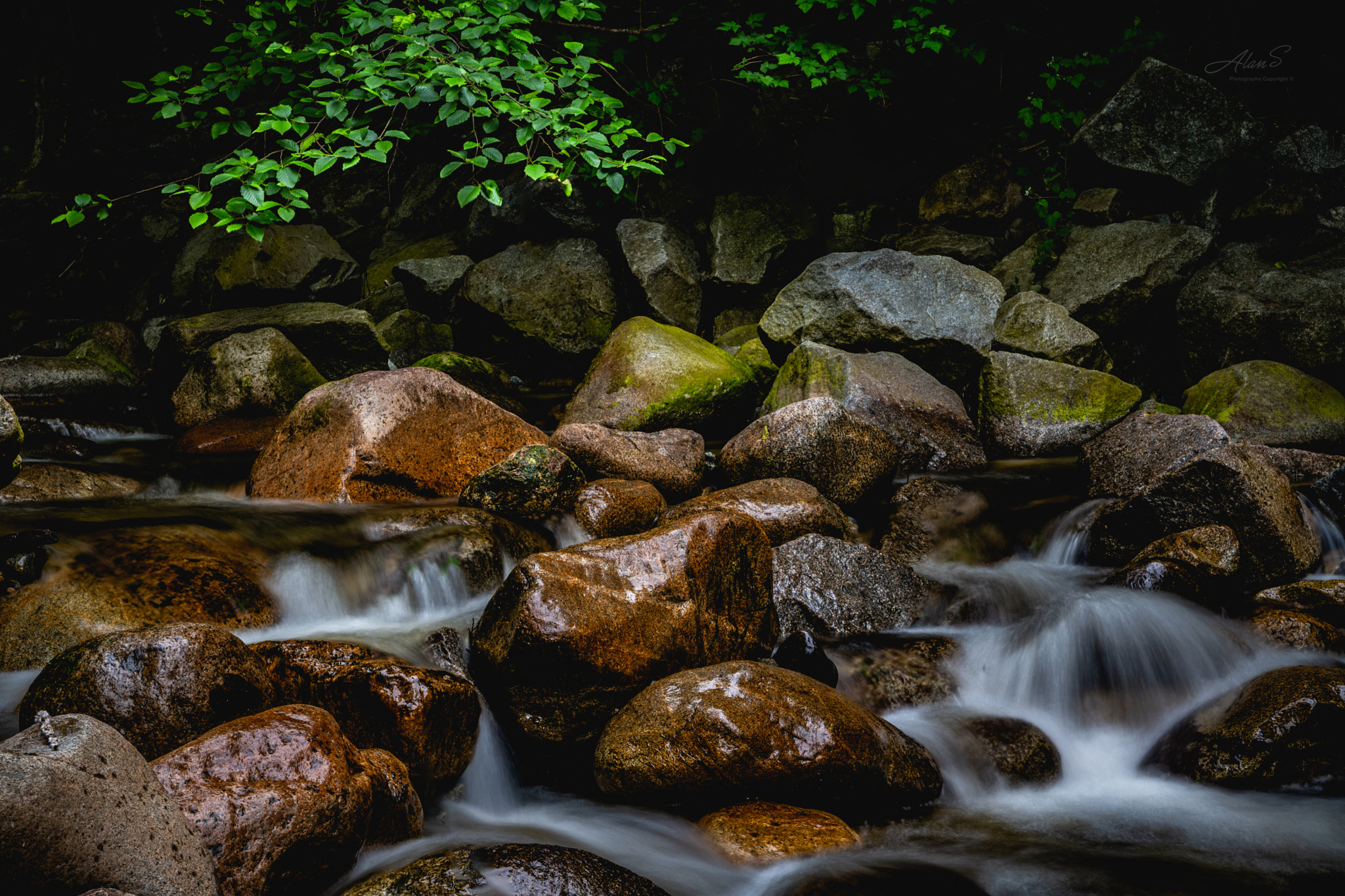 Leica SL (Typ 601) sample photo. Creek side photography