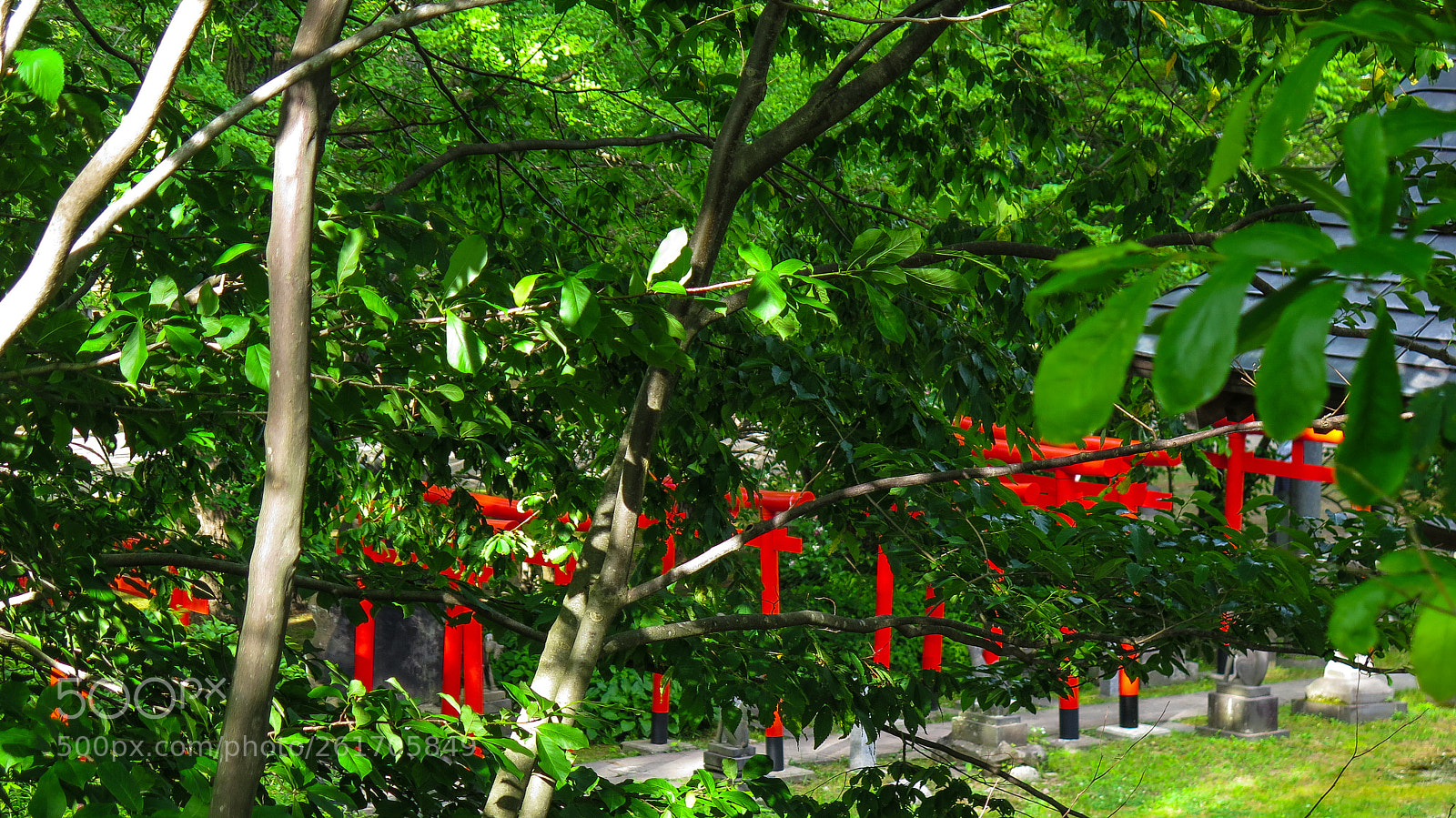Canon PowerShot G16 sample photo. Torii through the trees photography
