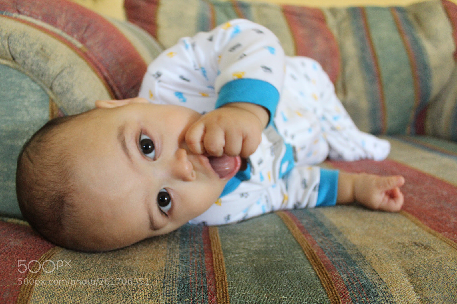 Canon EOS 1300D (EOS Rebel T6 / EOS Kiss X80) sample photo. Mr. little chubby cheeks  photography