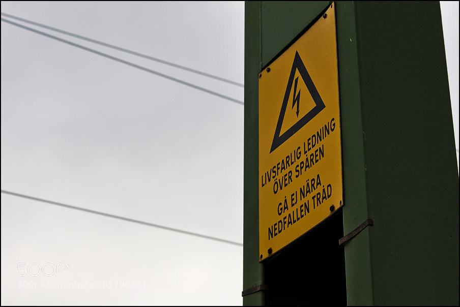 Canon EOS 450D (EOS Rebel XSi / EOS Kiss X2) sample photo. Img photography