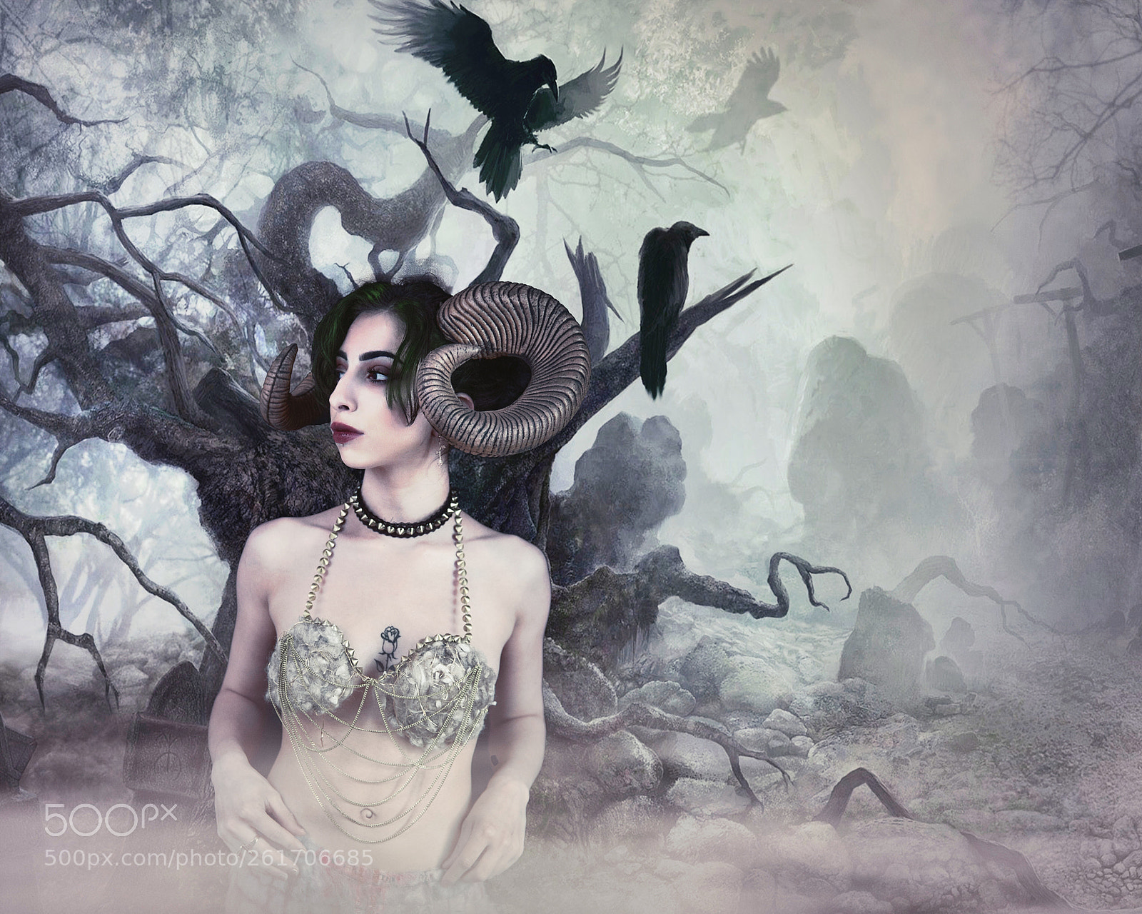 Nikon D810 sample photo. In the mist photography