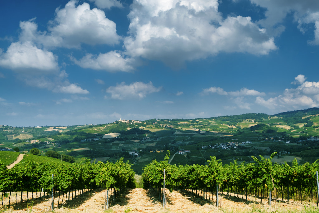 Oltrepo Pavese (Italy), rural landscape at summer by Claudio G. Colombo on 500px.com