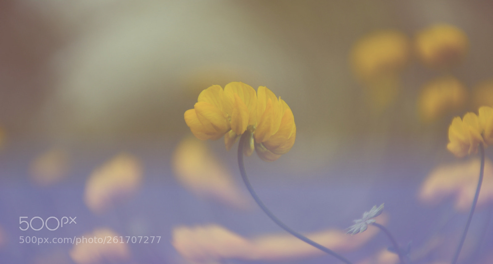 Nikon D7100 sample photo. Untitled photography