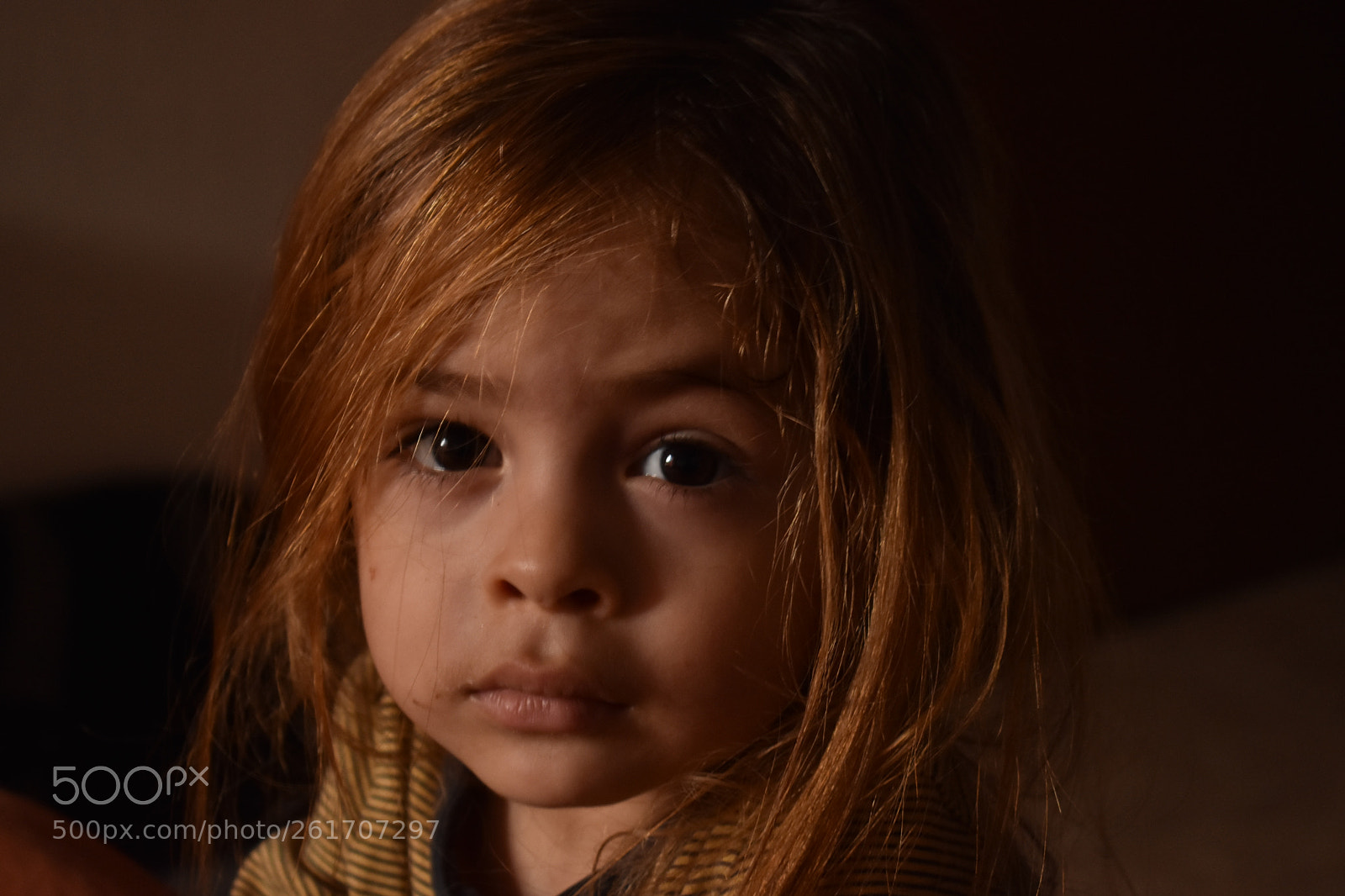 Nikon D3400 sample photo. Zephyr bb photography