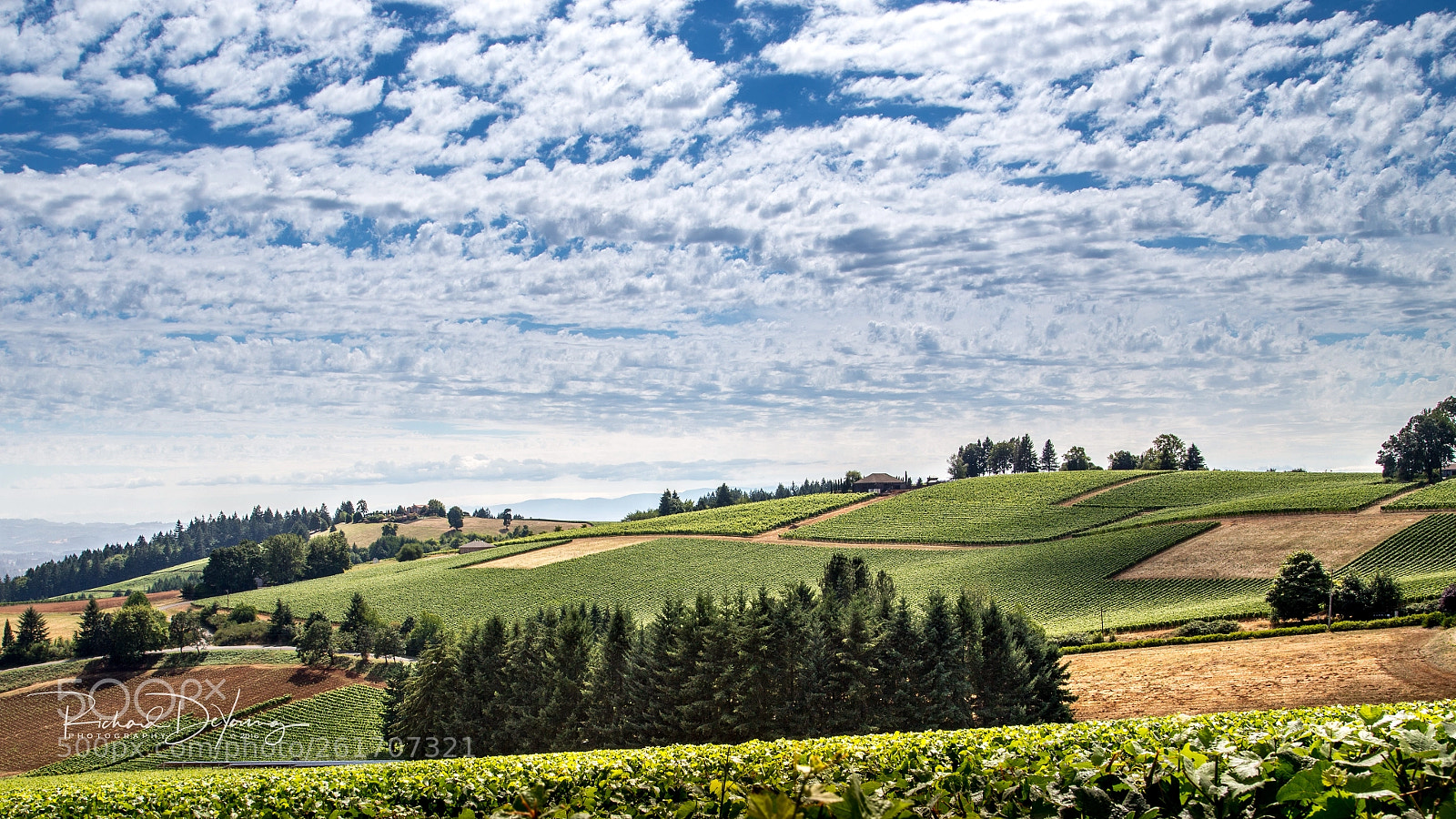 Canon EOS 6D sample photo. Torii mor winery photography