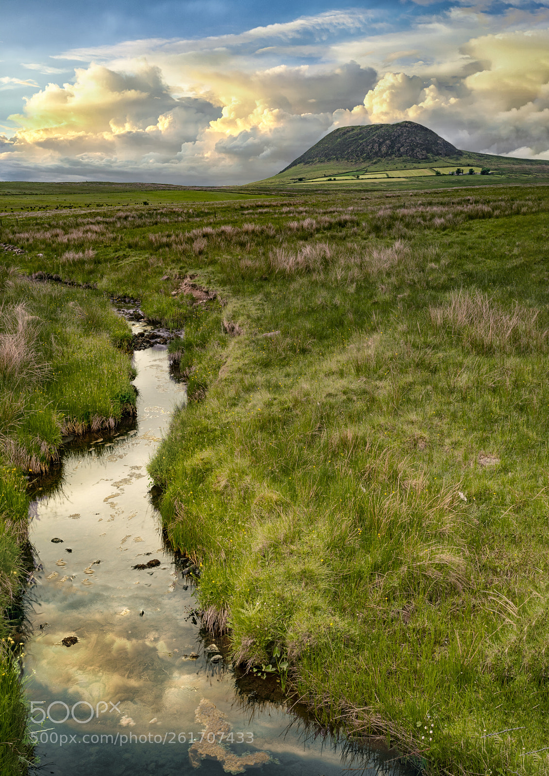 Nikon D7100 sample photo. Slemish mountain photography